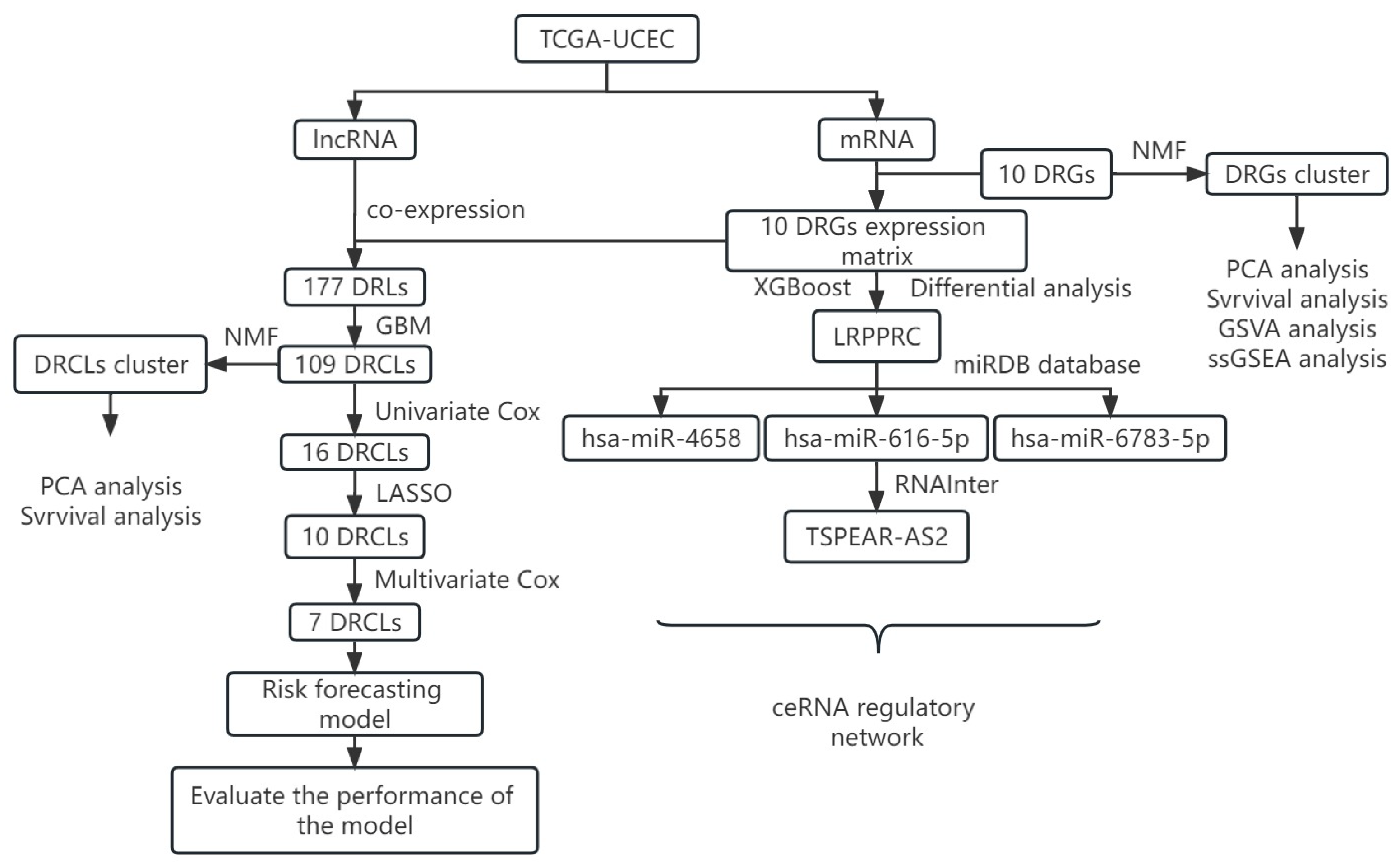 Biomedinformatics 03 00056 g001