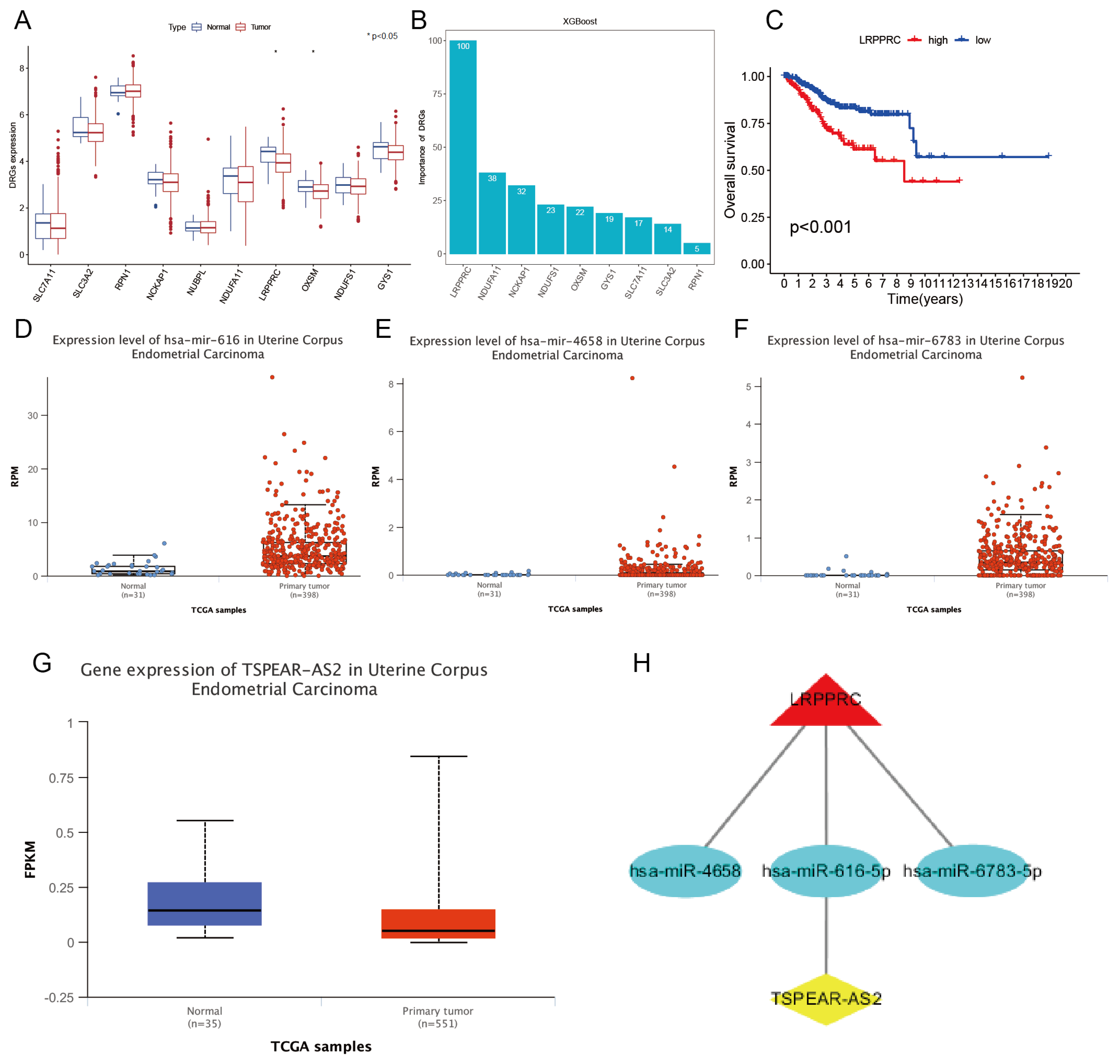 Biomedinformatics 03 00056 g002