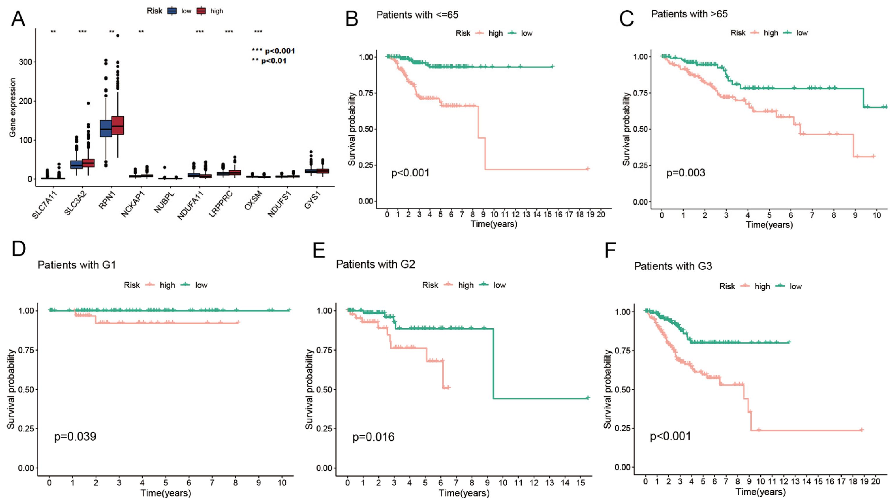 Biomedinformatics 03 00056 g006