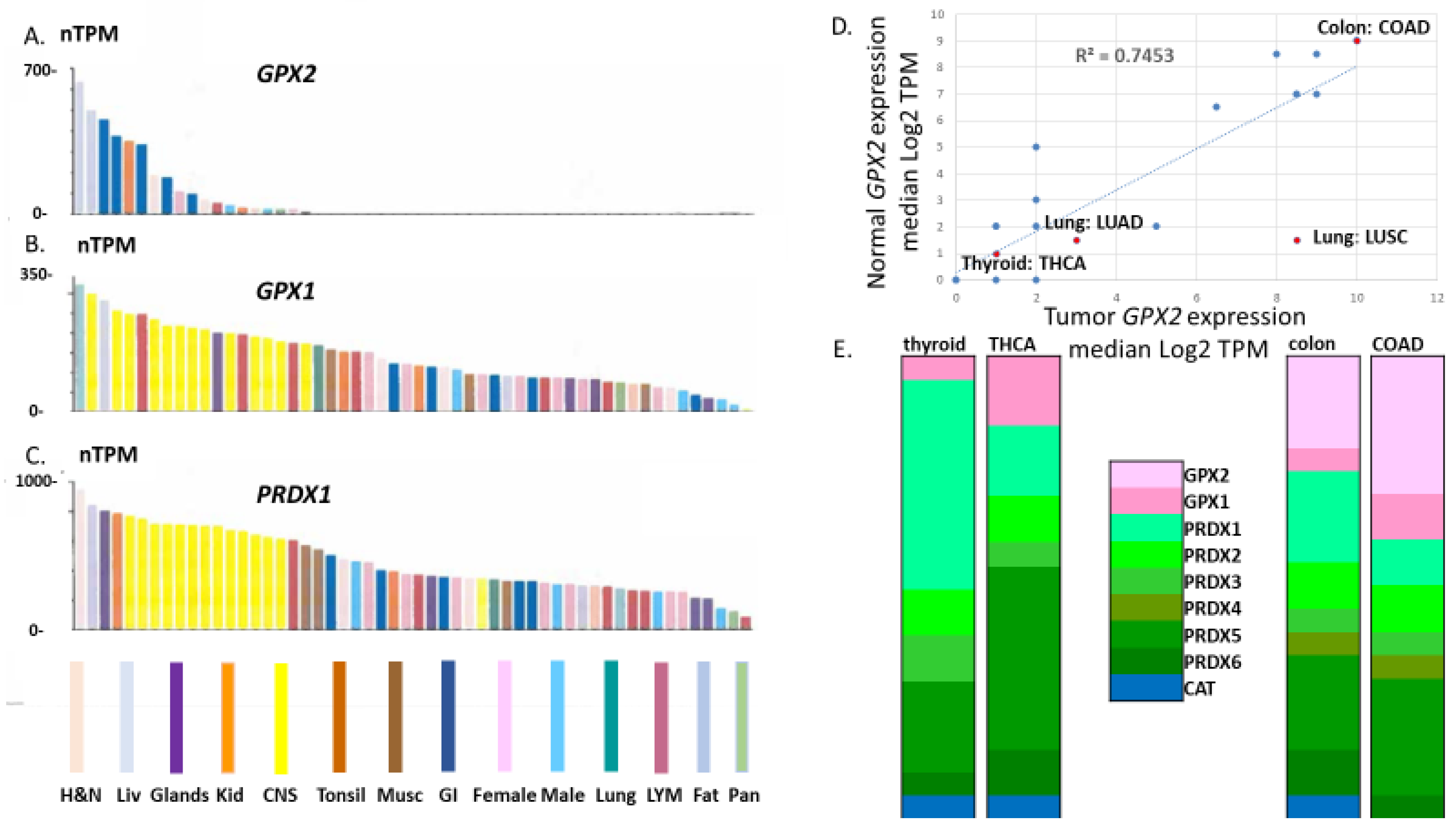Biomedinformatics 03 00060 g001