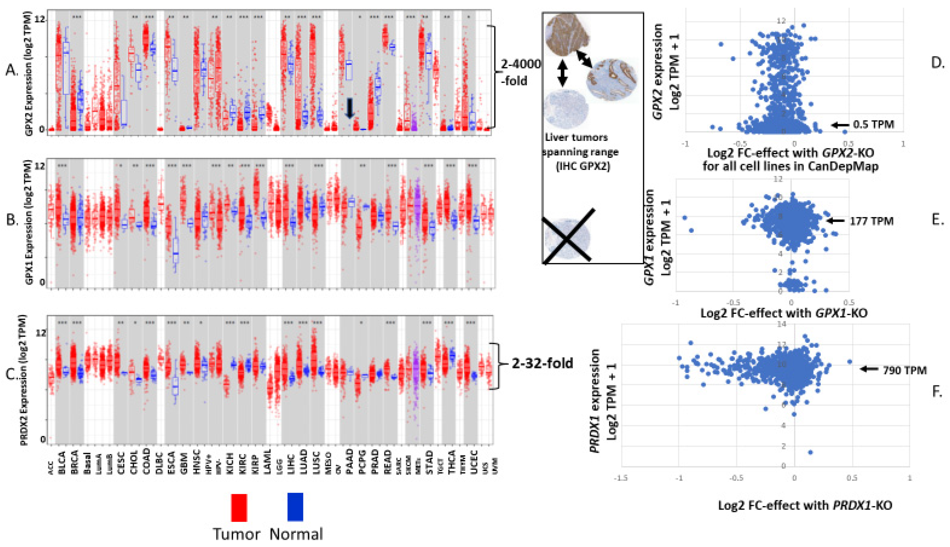 Biomedinformatics 03 00060 g004