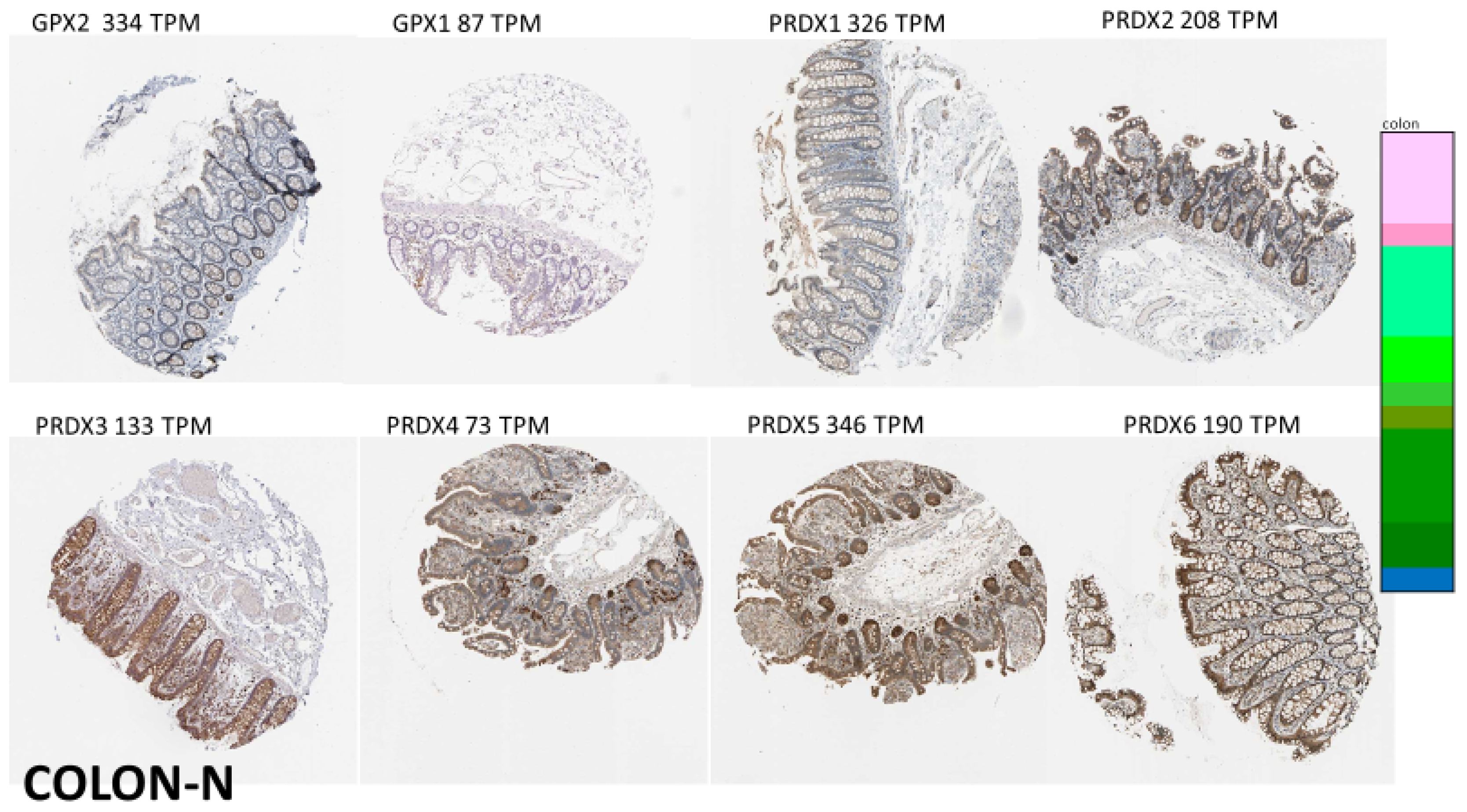 Biomedinformatics 03 00060 g006