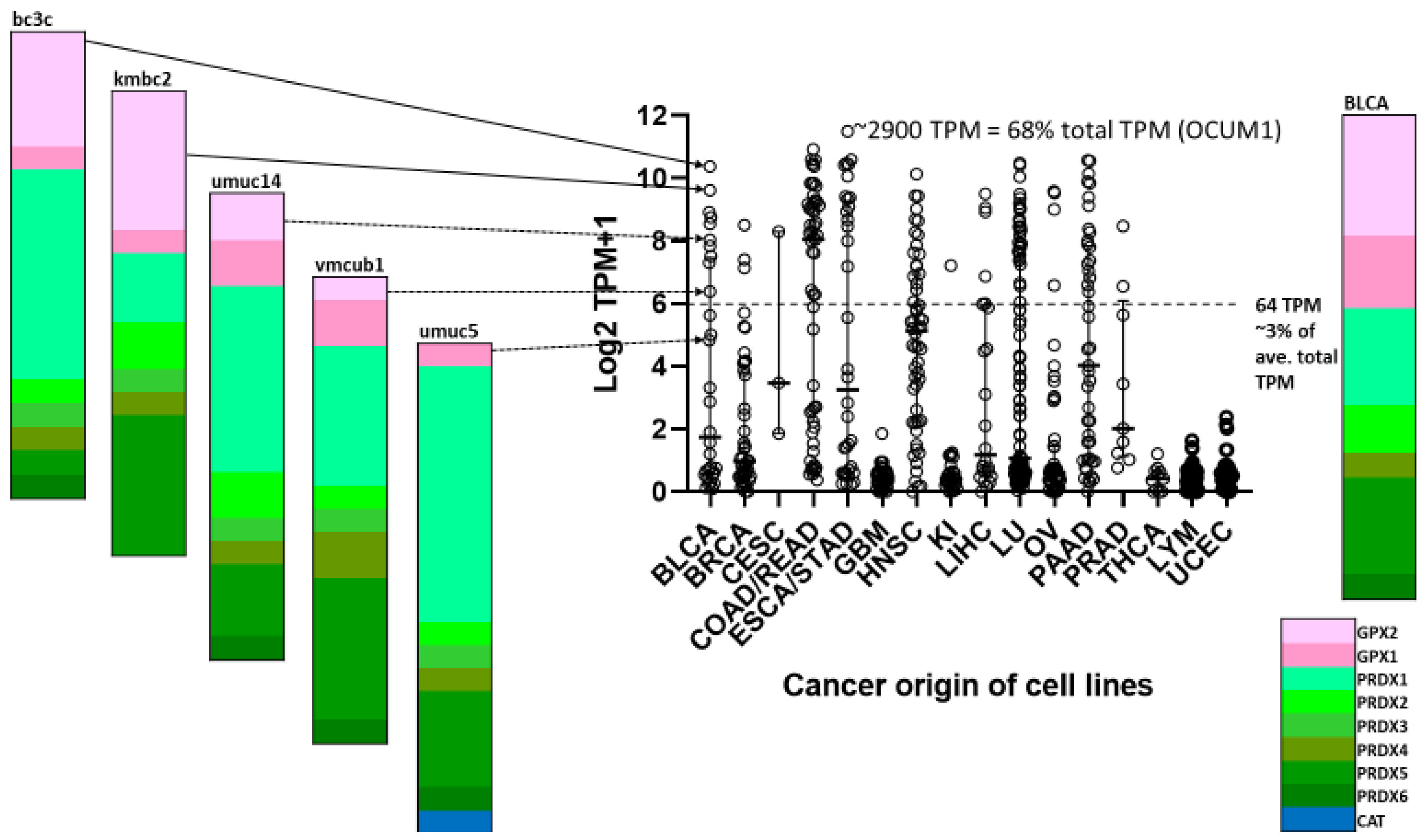 Biomedinformatics 03 00060 g011