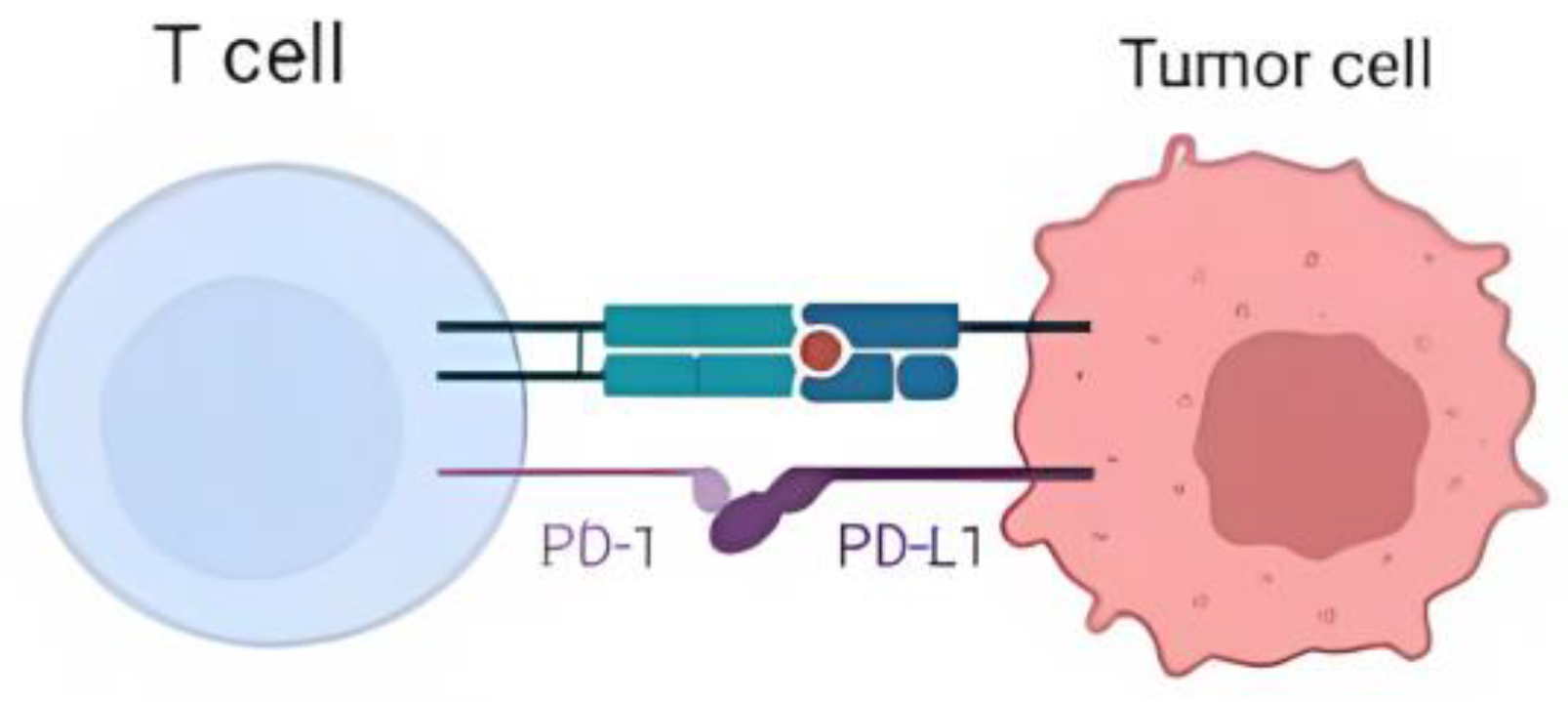 Biomedinformatics 03 00063 g001