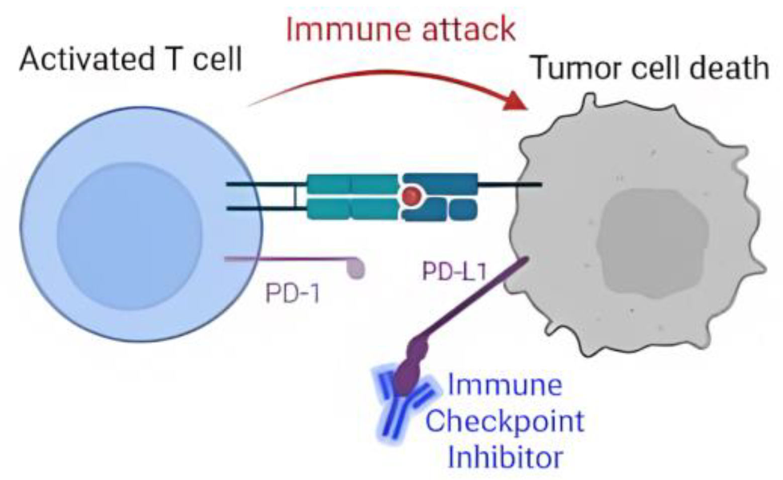 Biomedinformatics 03 00063 g002