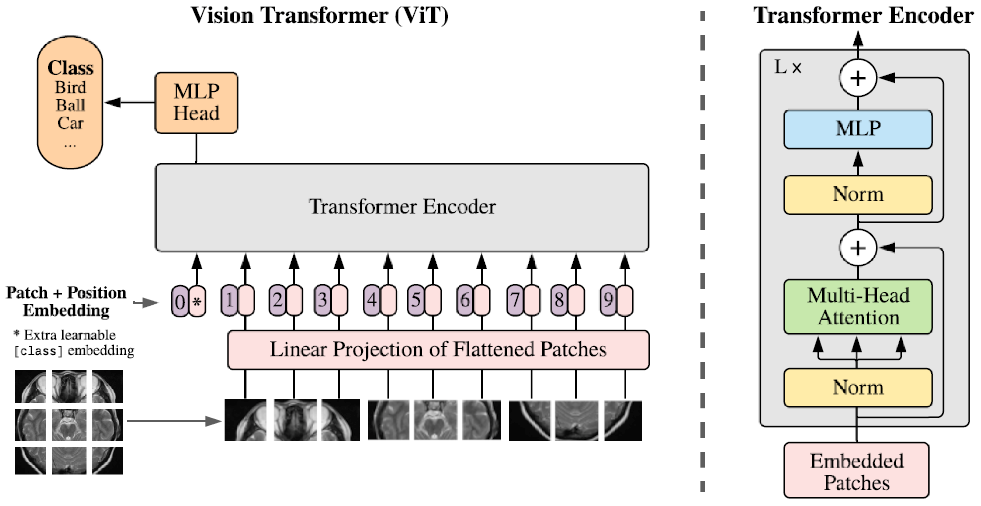 Biomedinformatics 04 00008 g001
