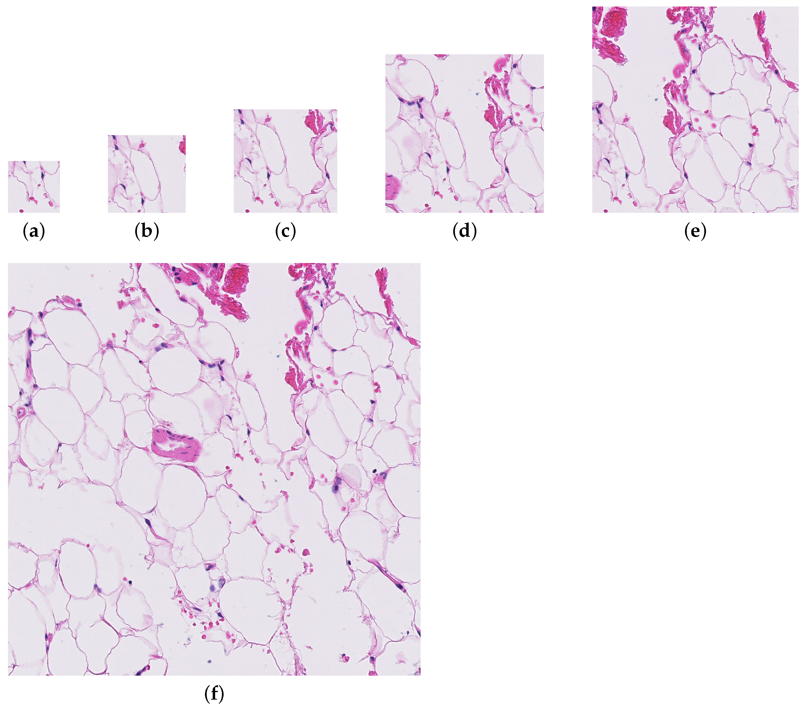 Biomedinformatics 04 00028 g001