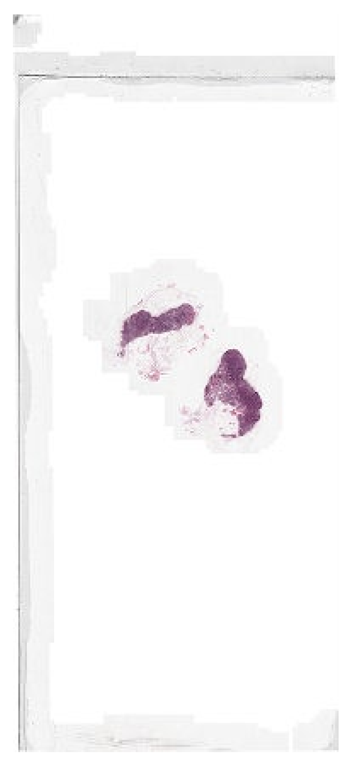 Biomedinformatics 04 00028 g006