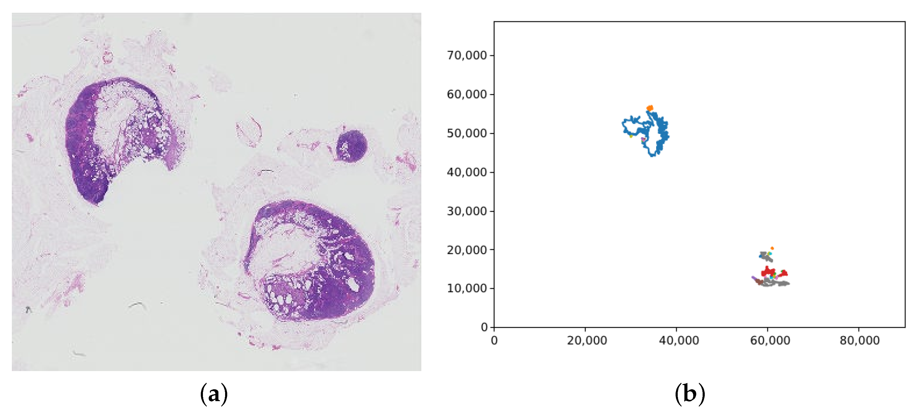 Biomedinformatics 04 00028 g007