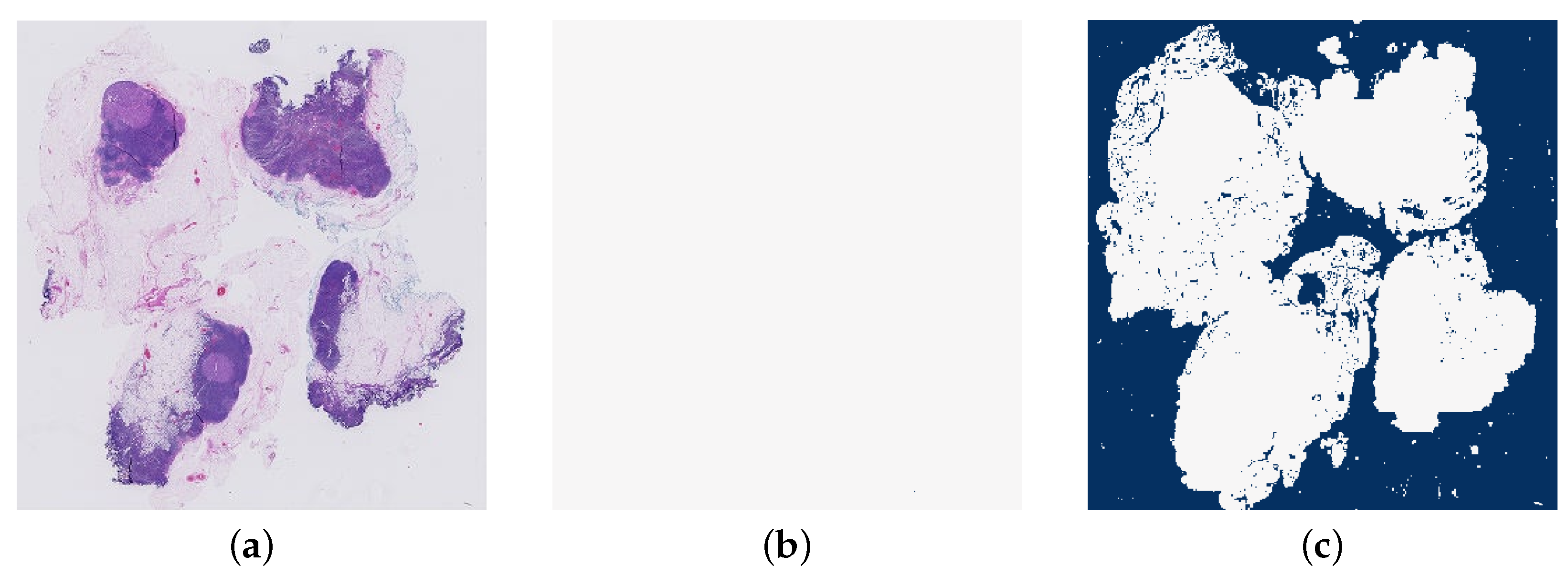 Biomedinformatics 04 00028 g008