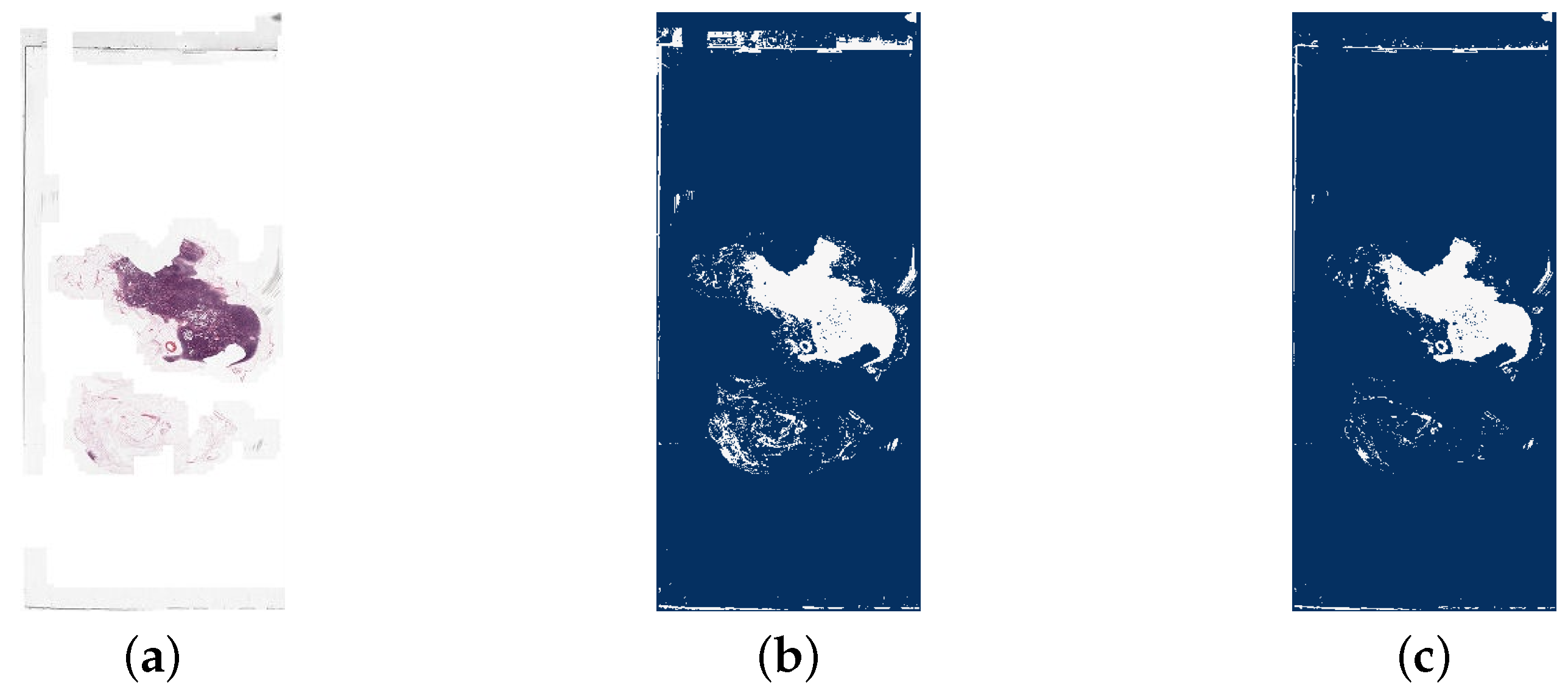 Biomedinformatics 04 00028 g009