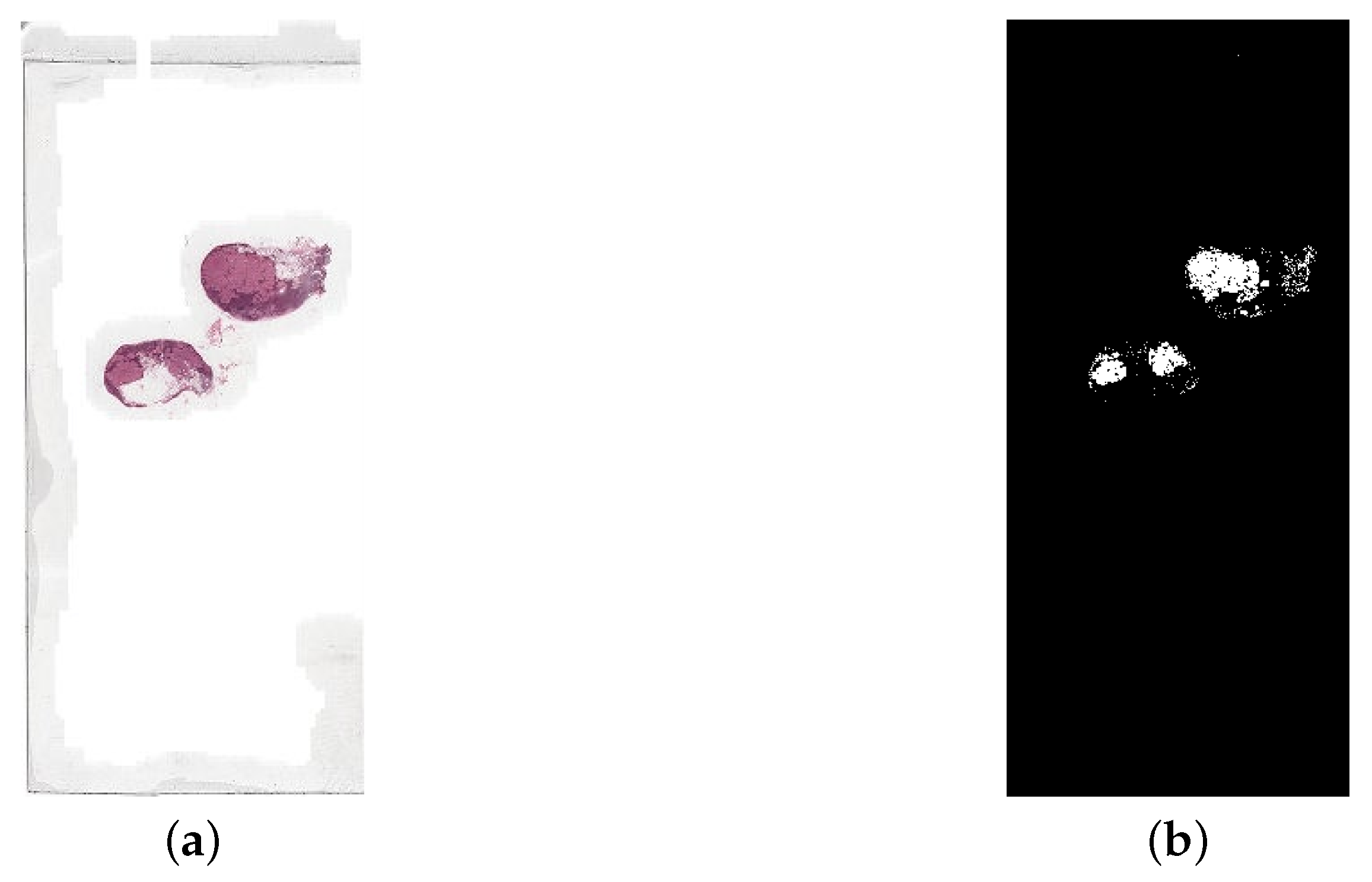 Biomedinformatics 04 00028 g016