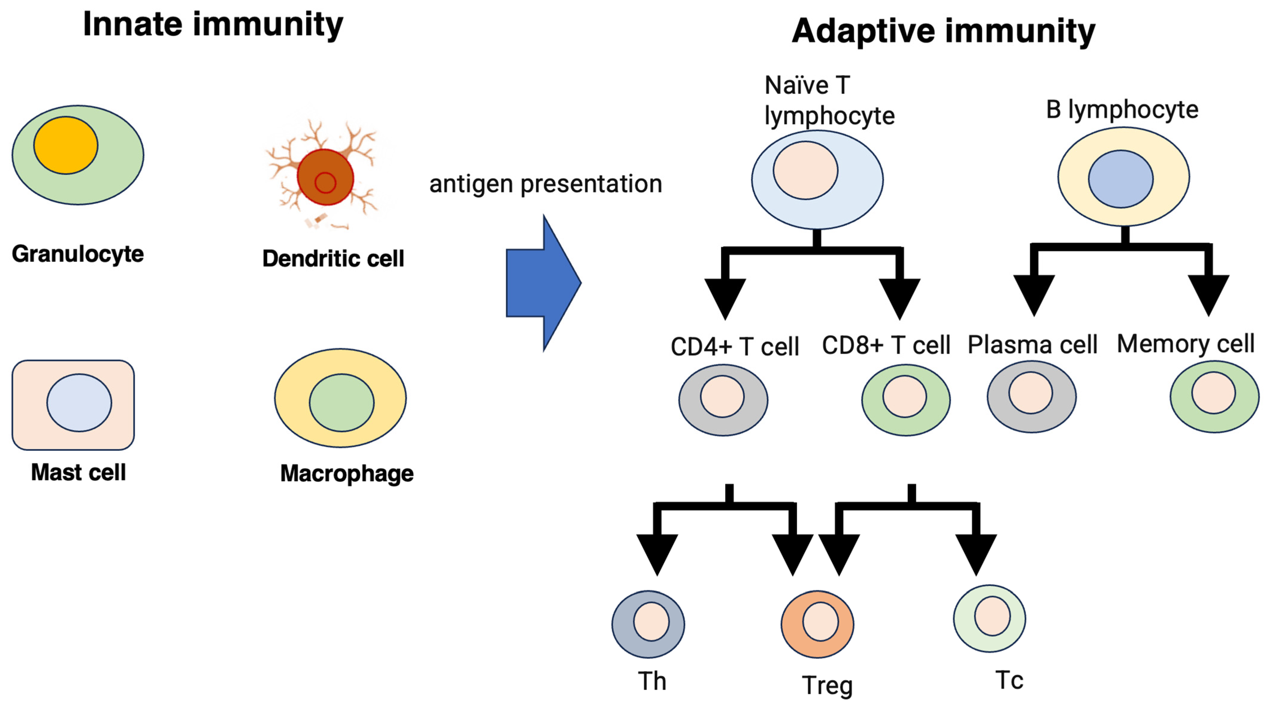 Biomedinformatics 04 00032 g002