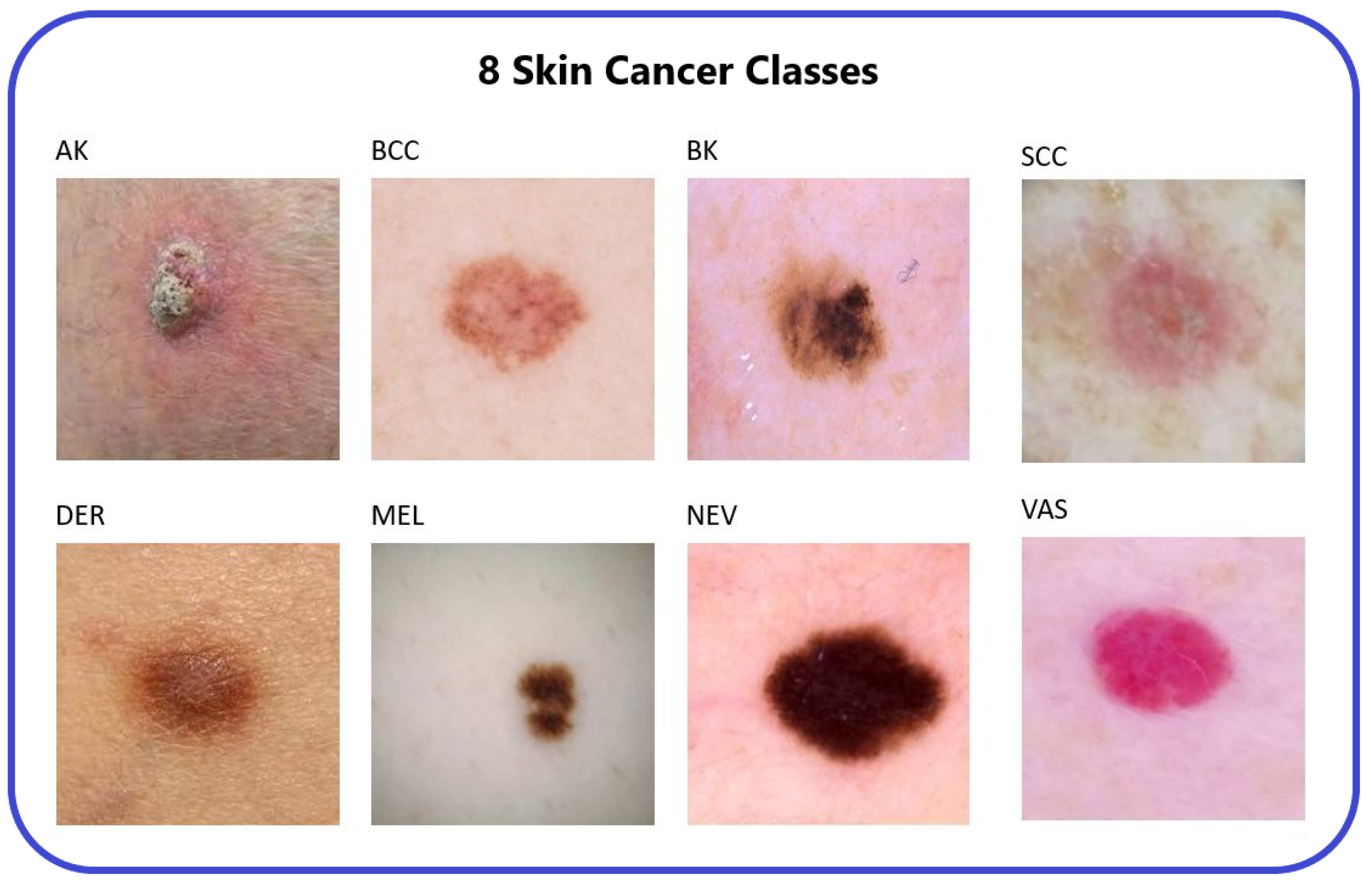 Biomedinformatics 04 00035 g003