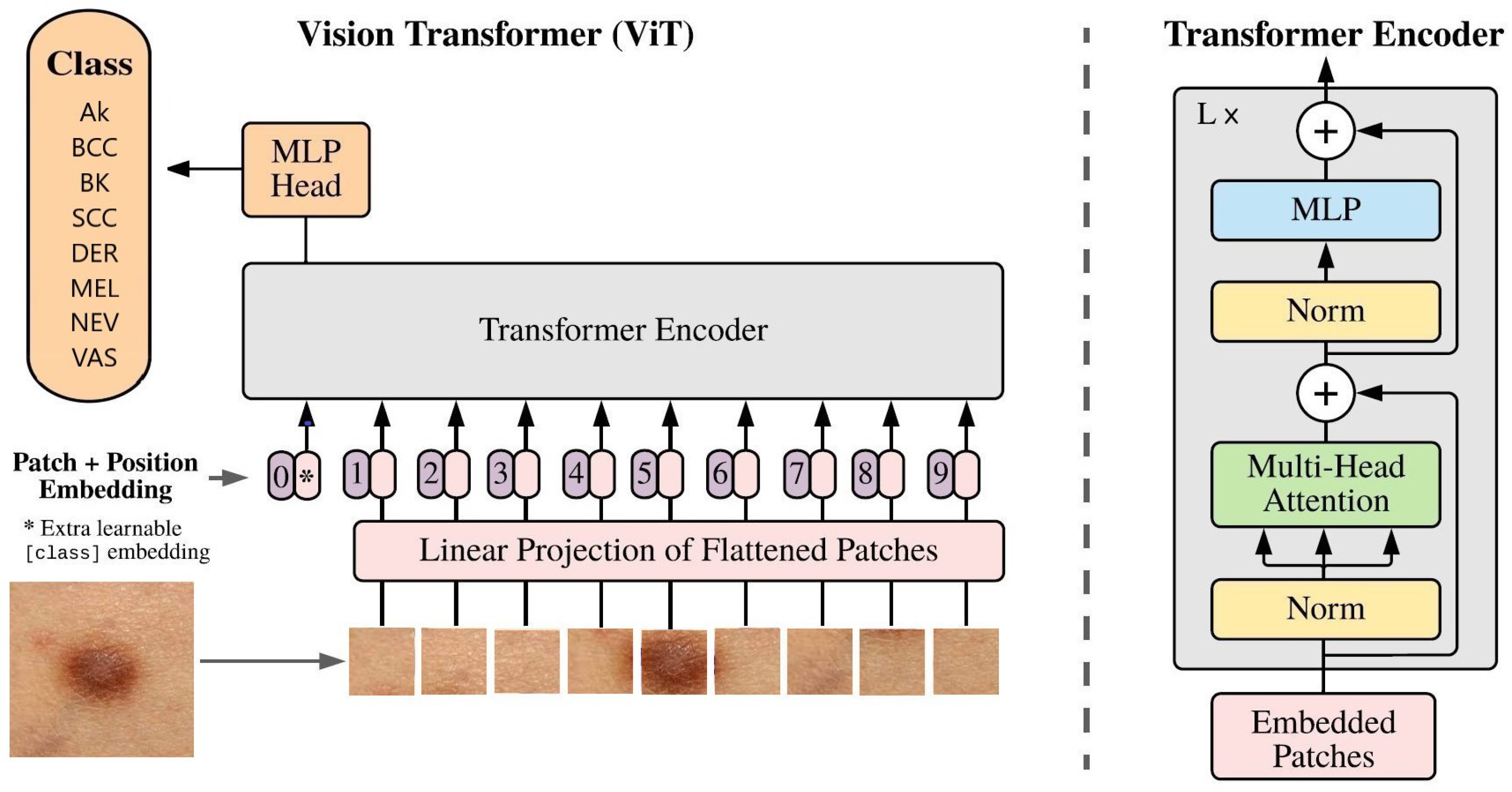Biomedinformatics 04 00035 g007