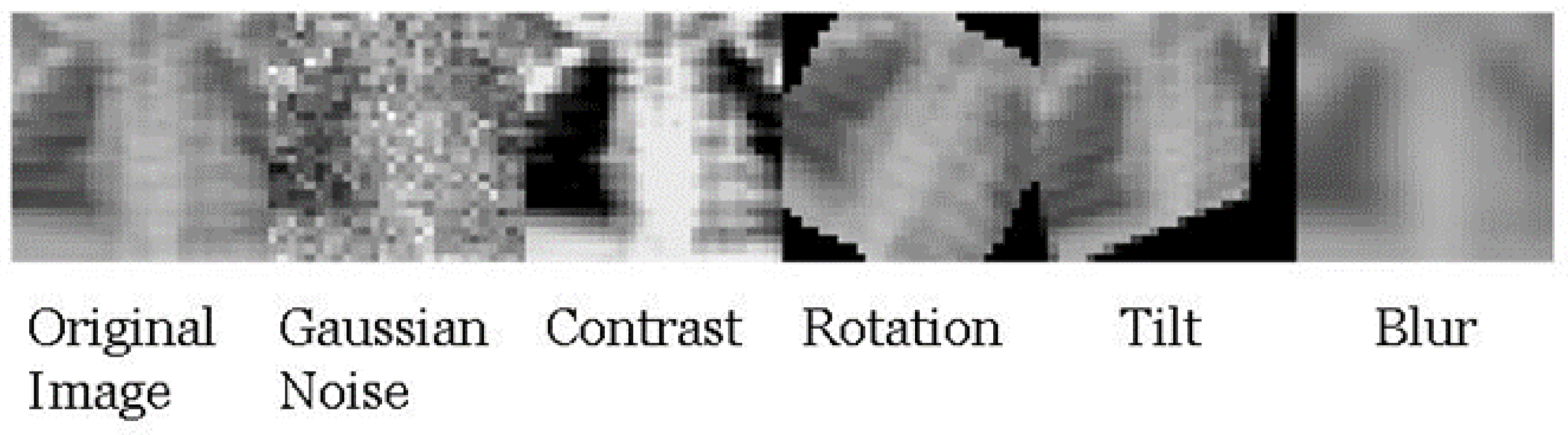 Biomedinformatics 04 00050 g002 Biomedinformatics 04 00050 g002