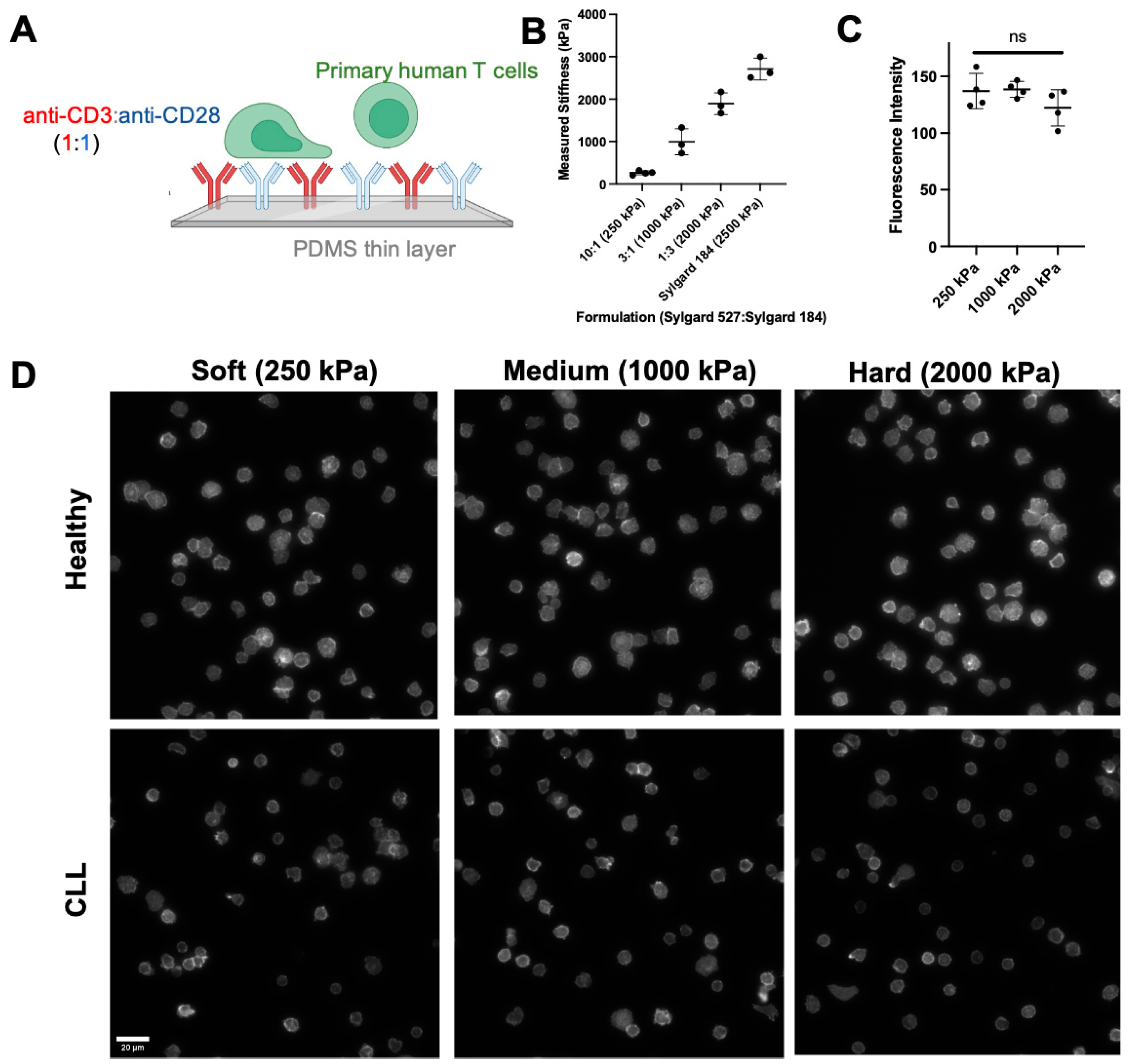 Biomedinformatics 04 00063 g001