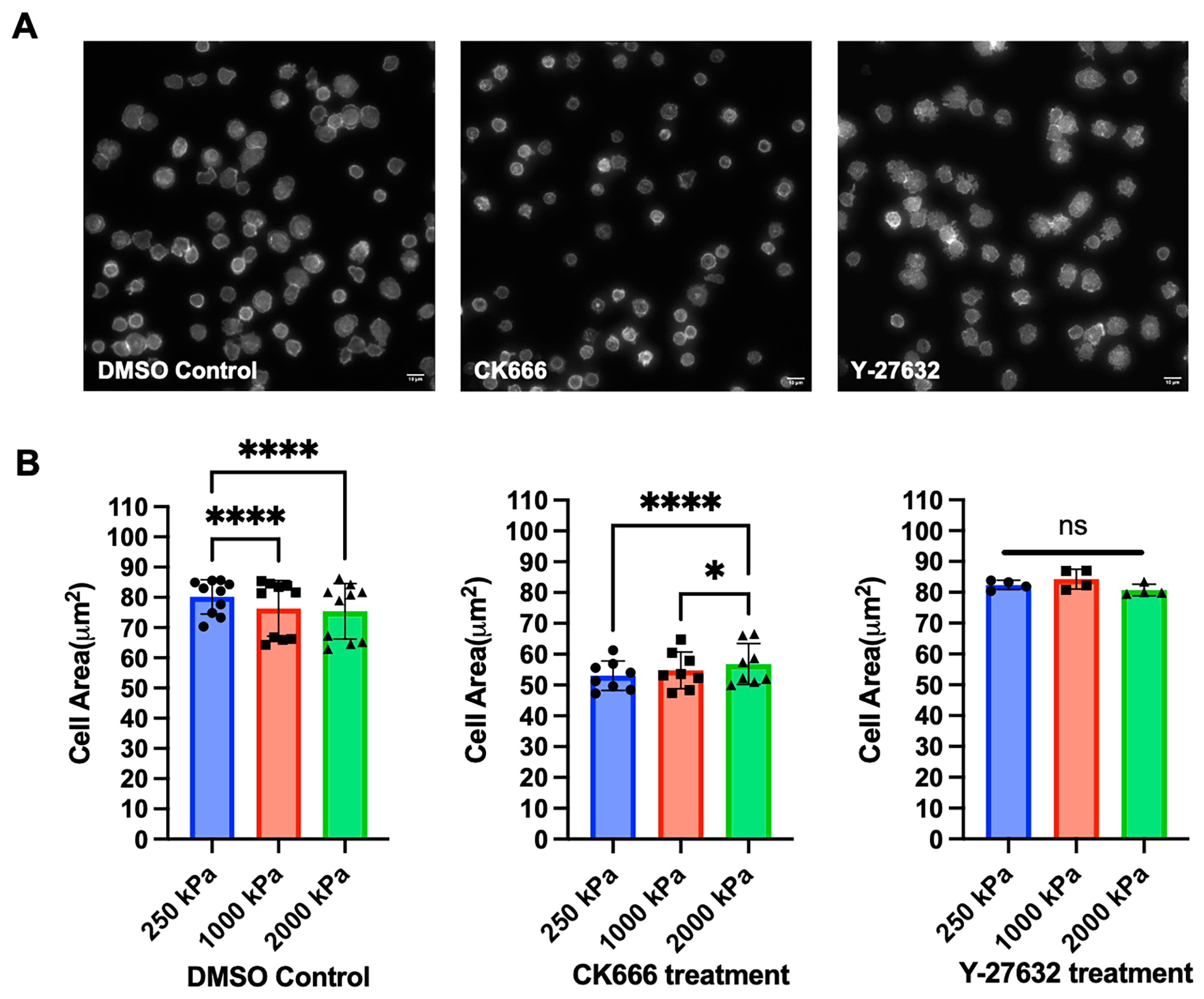 Biomedinformatics 04 00063 g004
