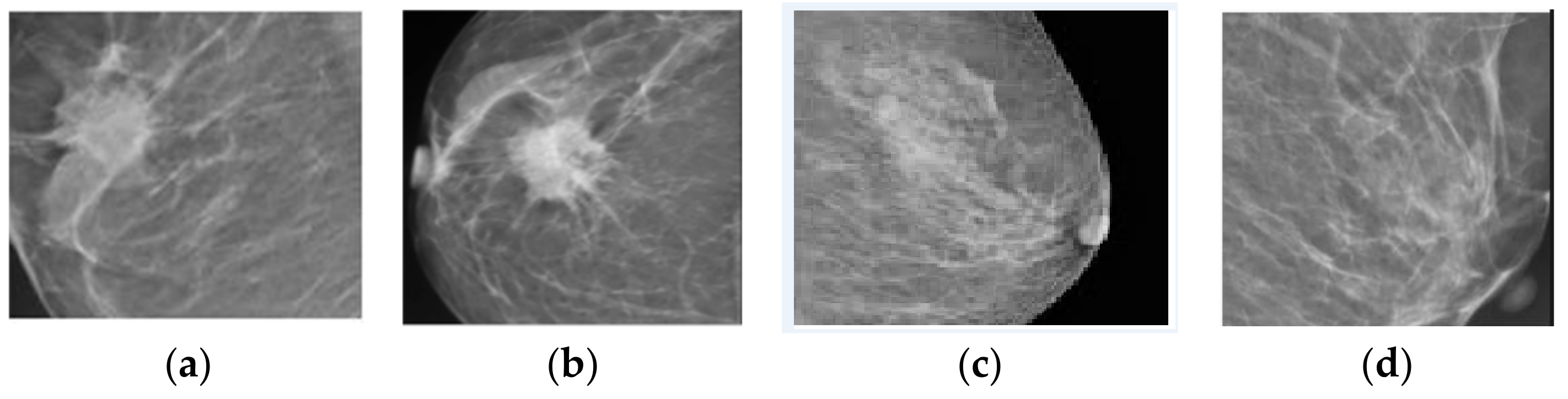 Biomedinformatics 04 00066 g006