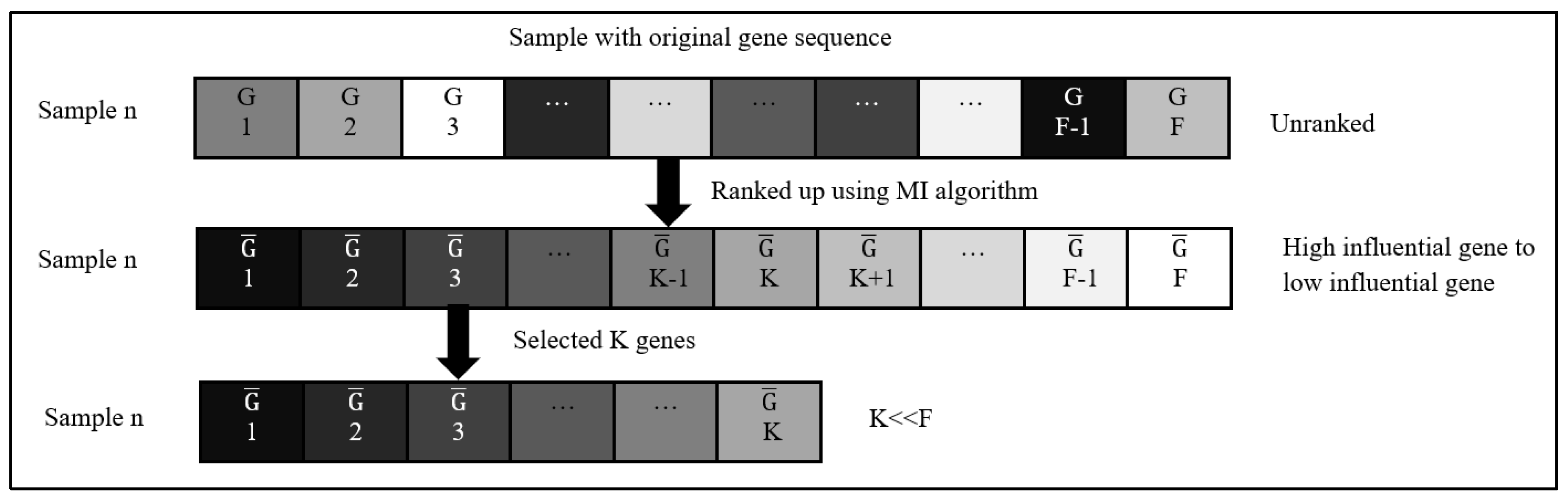 Biomedinformatics 04 00070 g005
