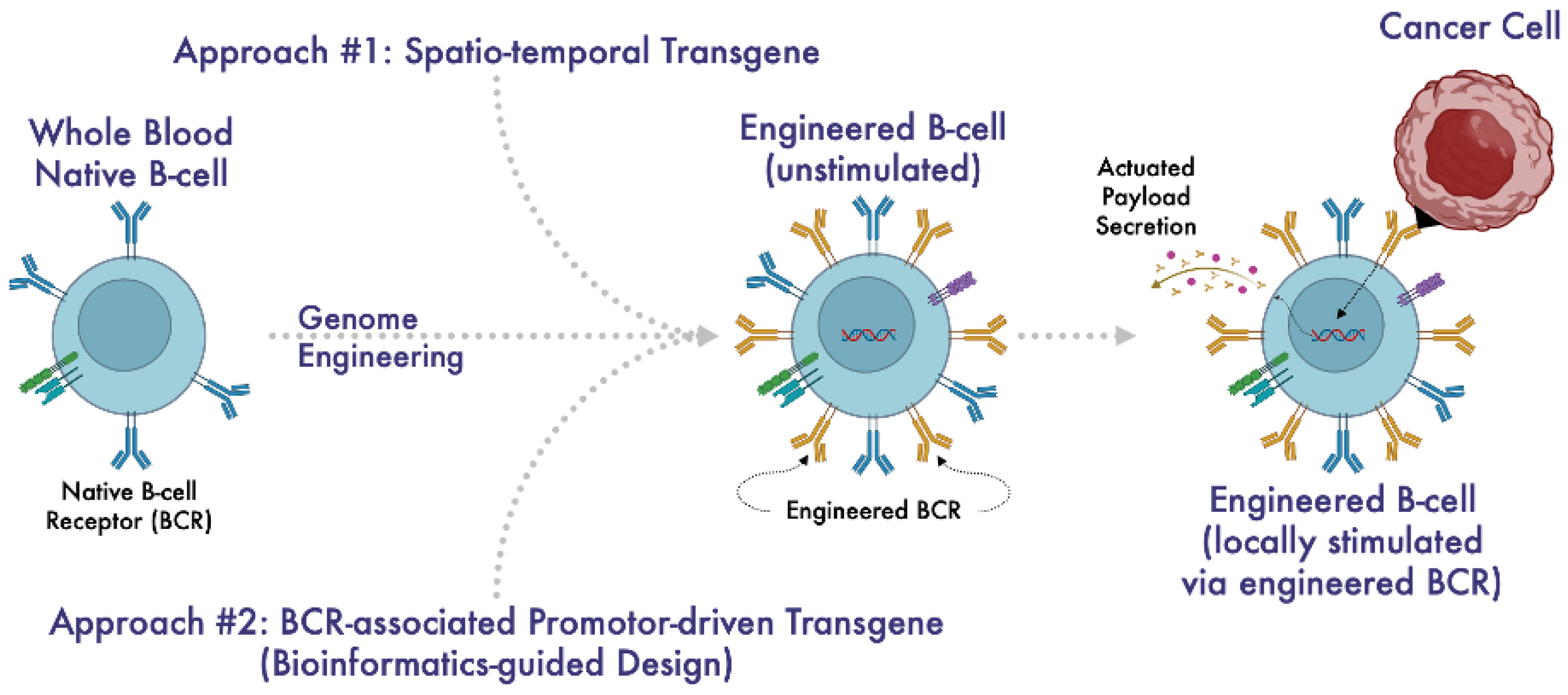 Biomedinformatics 04 00076 g005