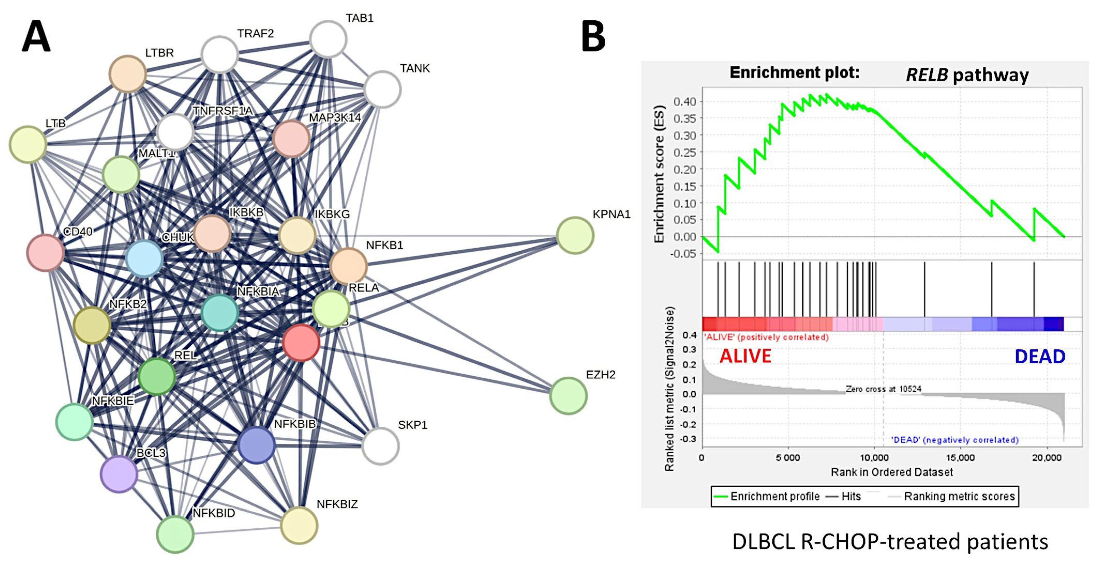 Biomedinformatics 04 00081 g008