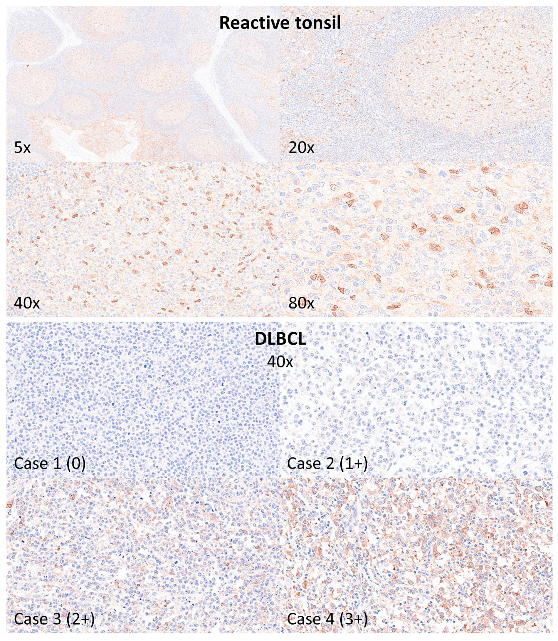 Biomedinformatics 04 00081 g009