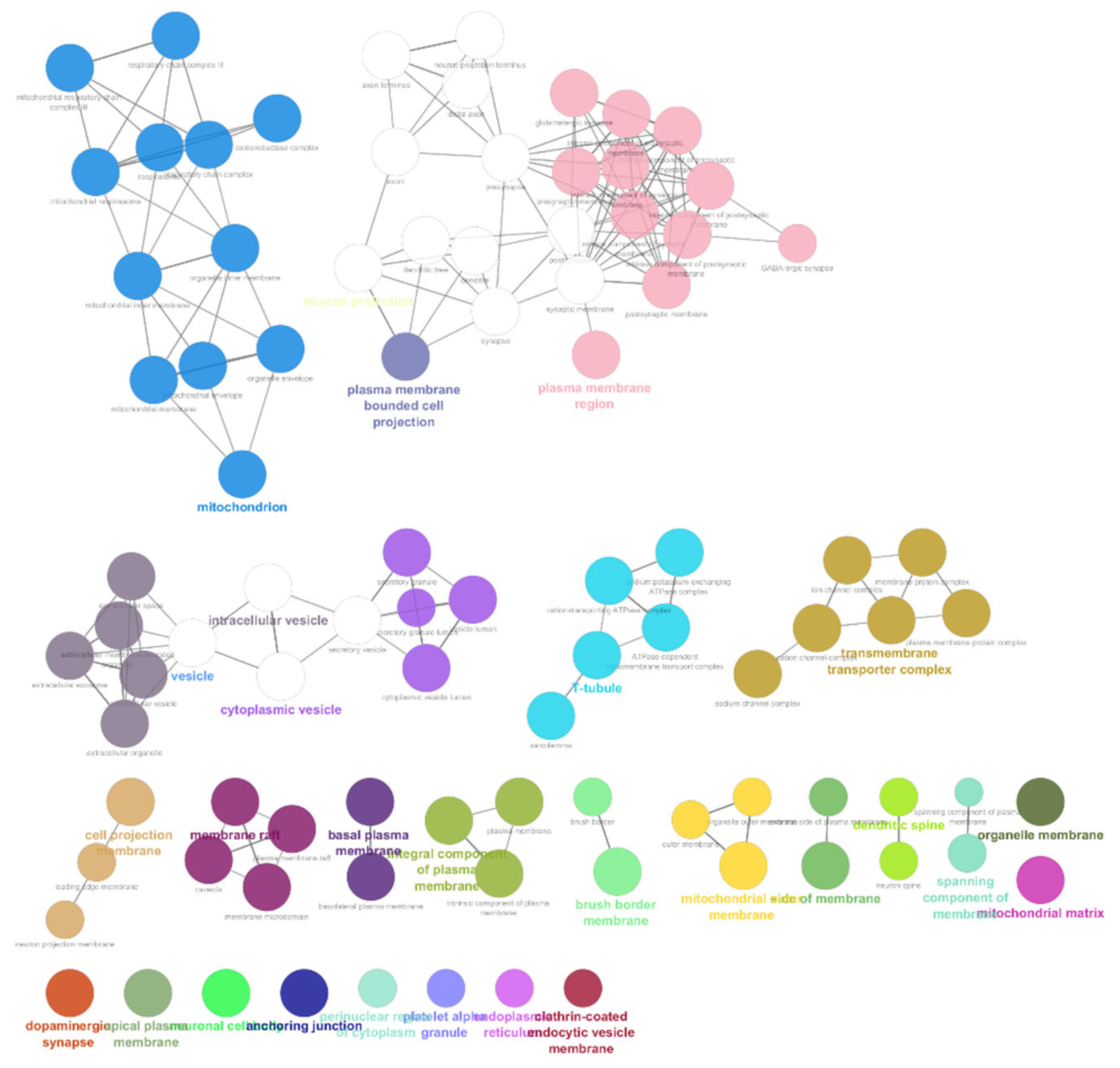 Biomedinformatics 04 00093 g006