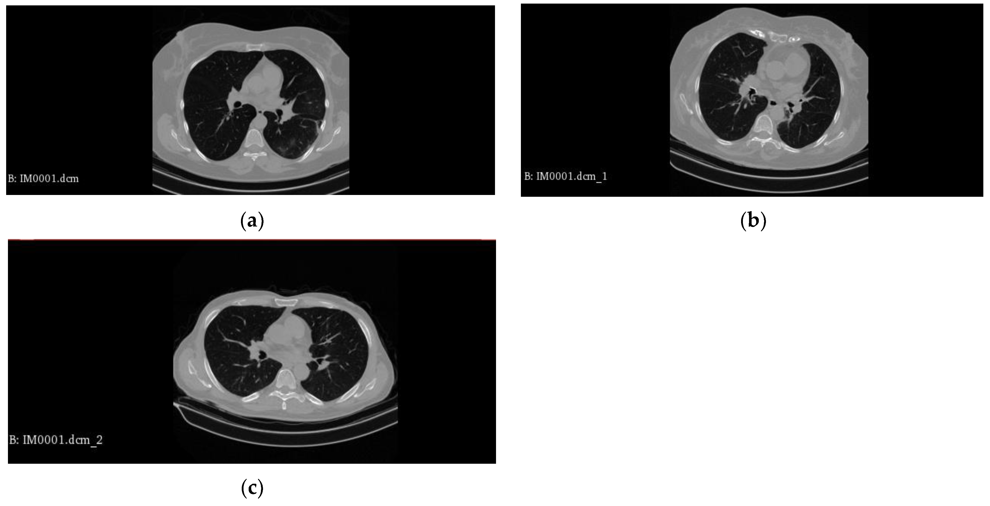 Biomedinformatics 05 00021 g001