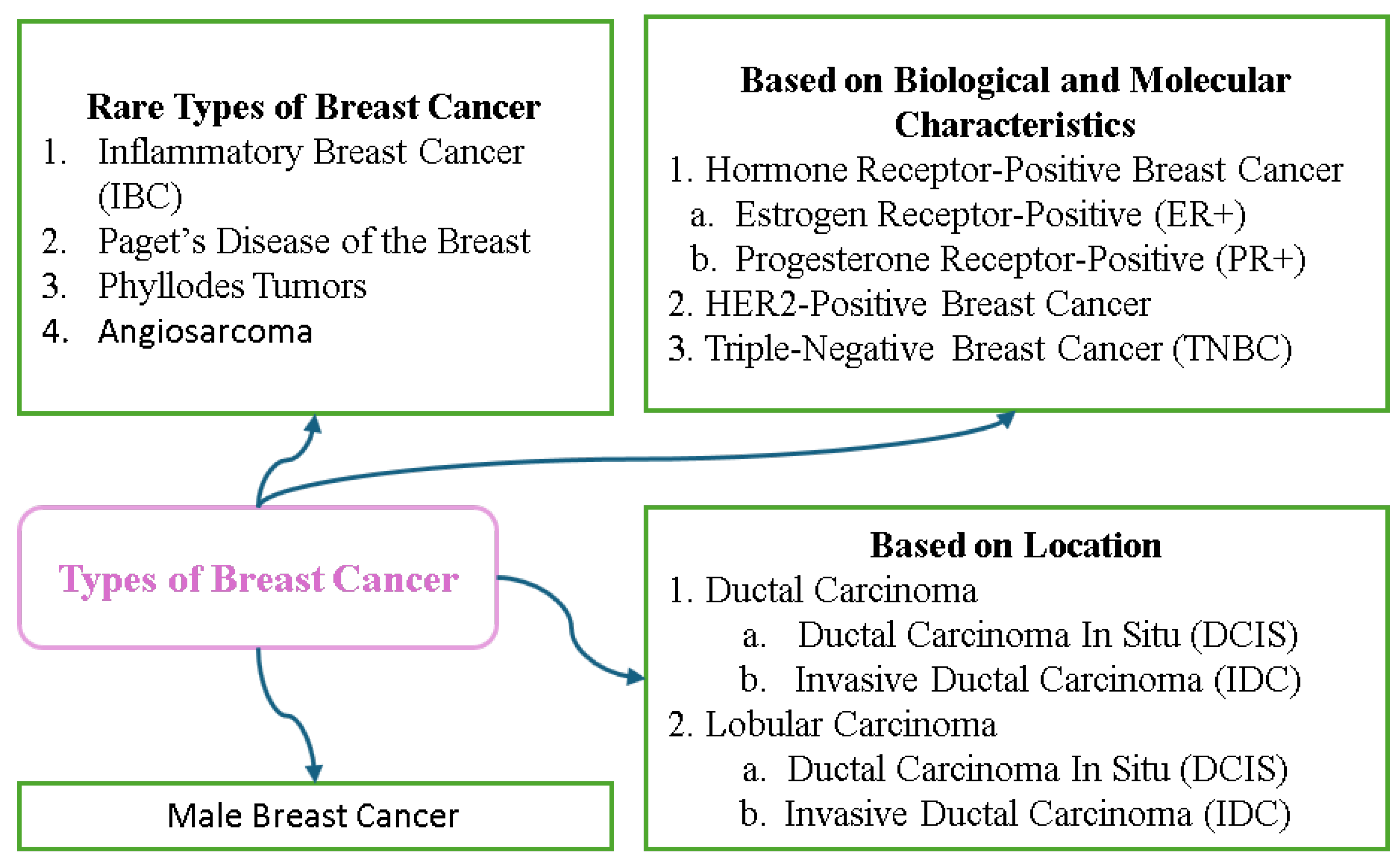 Biomedinformatics 05 00046 g010 Biomedinformatics 05 00046 g010