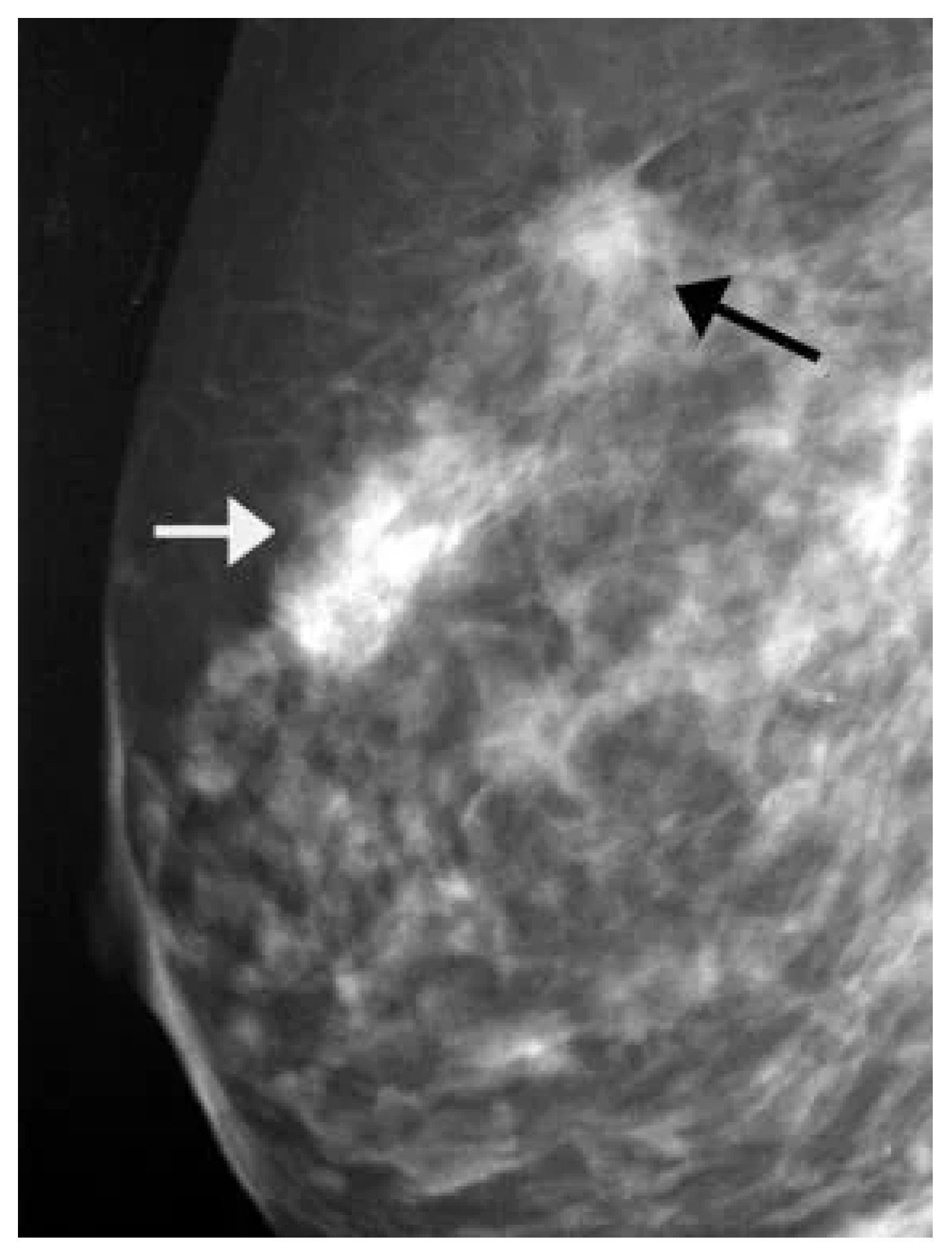 Biomedinformatics 05 00046 g015 Biomedinformatics 05 00046 g015