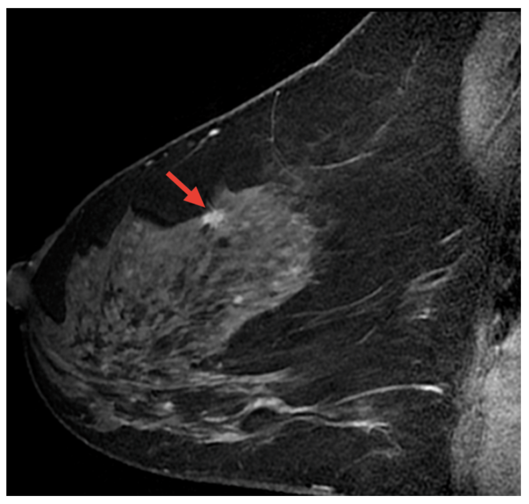 Biomedinformatics 05 00046 g017 Biomedinformatics 05 00046 g017