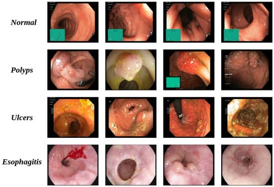 Biomedinformatics 05 00051 g002