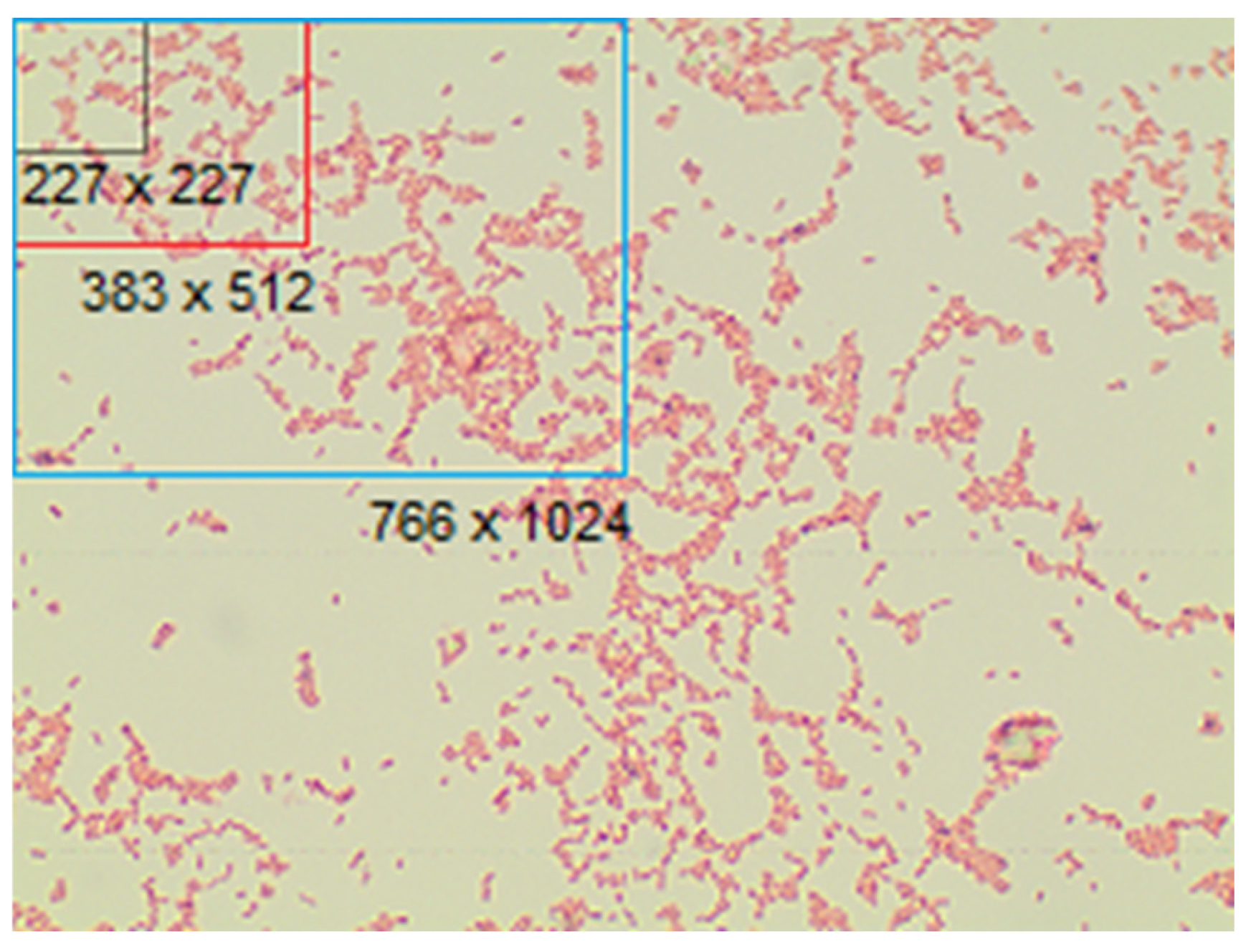 Biomedinformatics 05 00061 g003