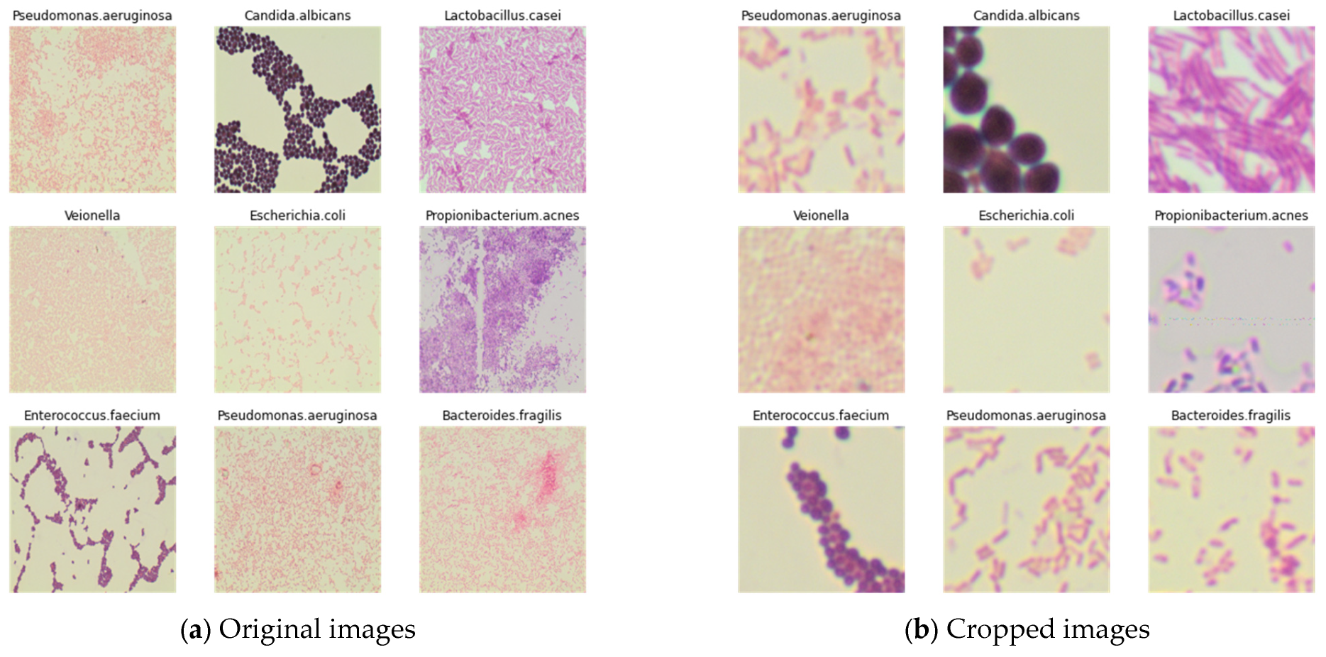 Biomedinformatics 05 00061 g013