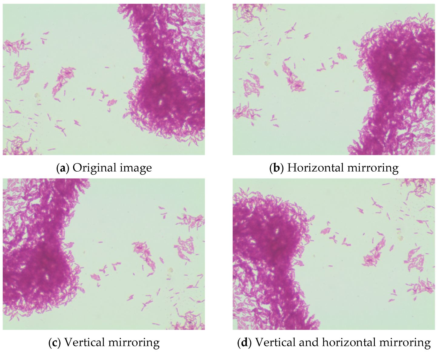 Biomedinformatics 05 00061 g014