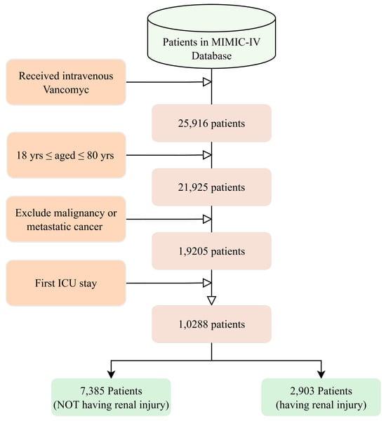 Cohort selectioneach figure appears in numerical order. process for vancomycin-associated renal injury analysis.