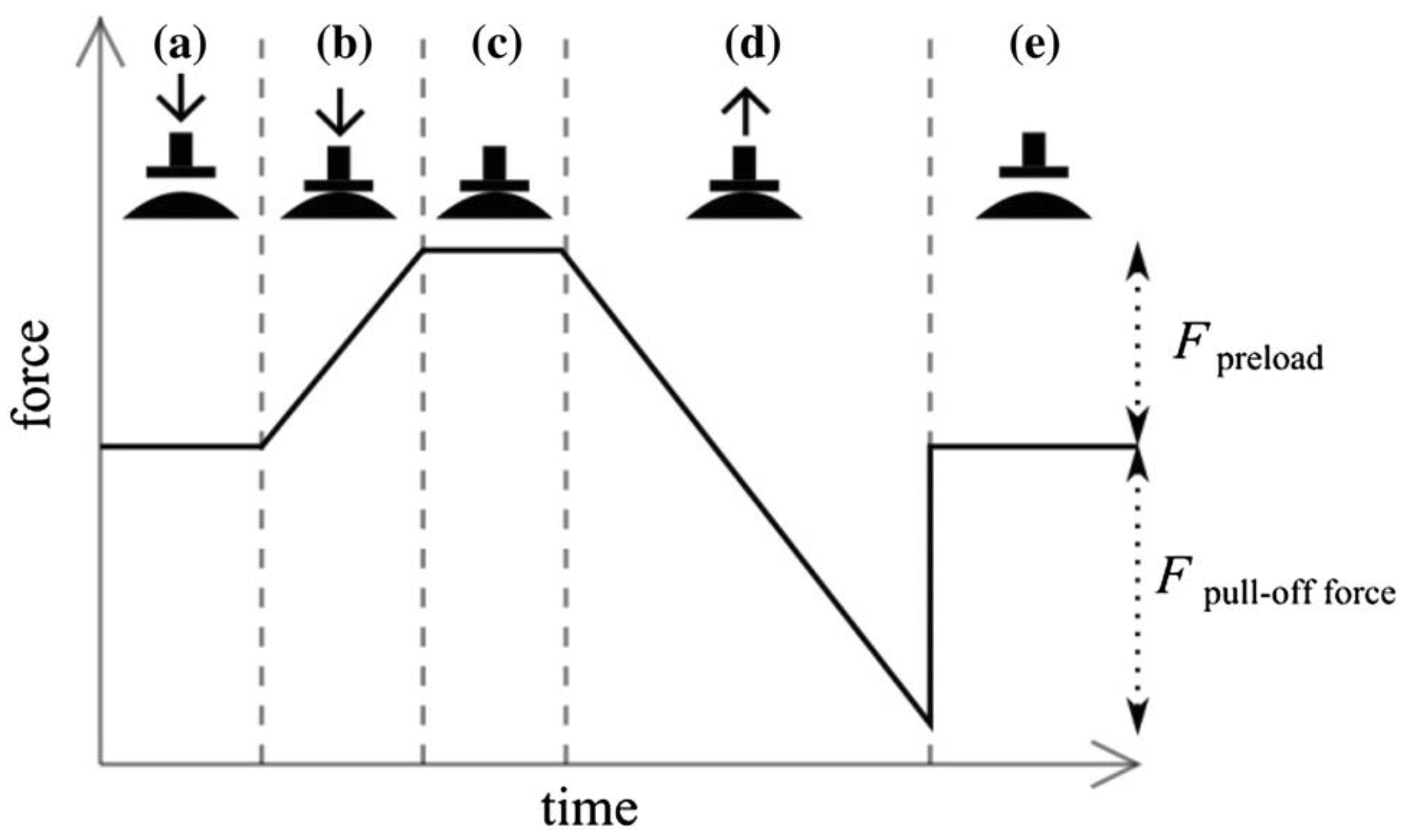 Biomimetics 01 00003 g003
