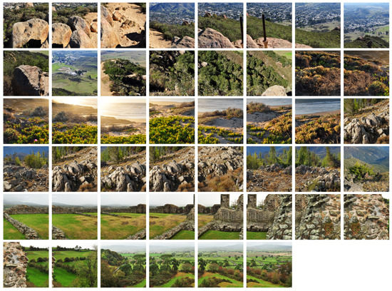 Biomimetics 02 00003 g007 550