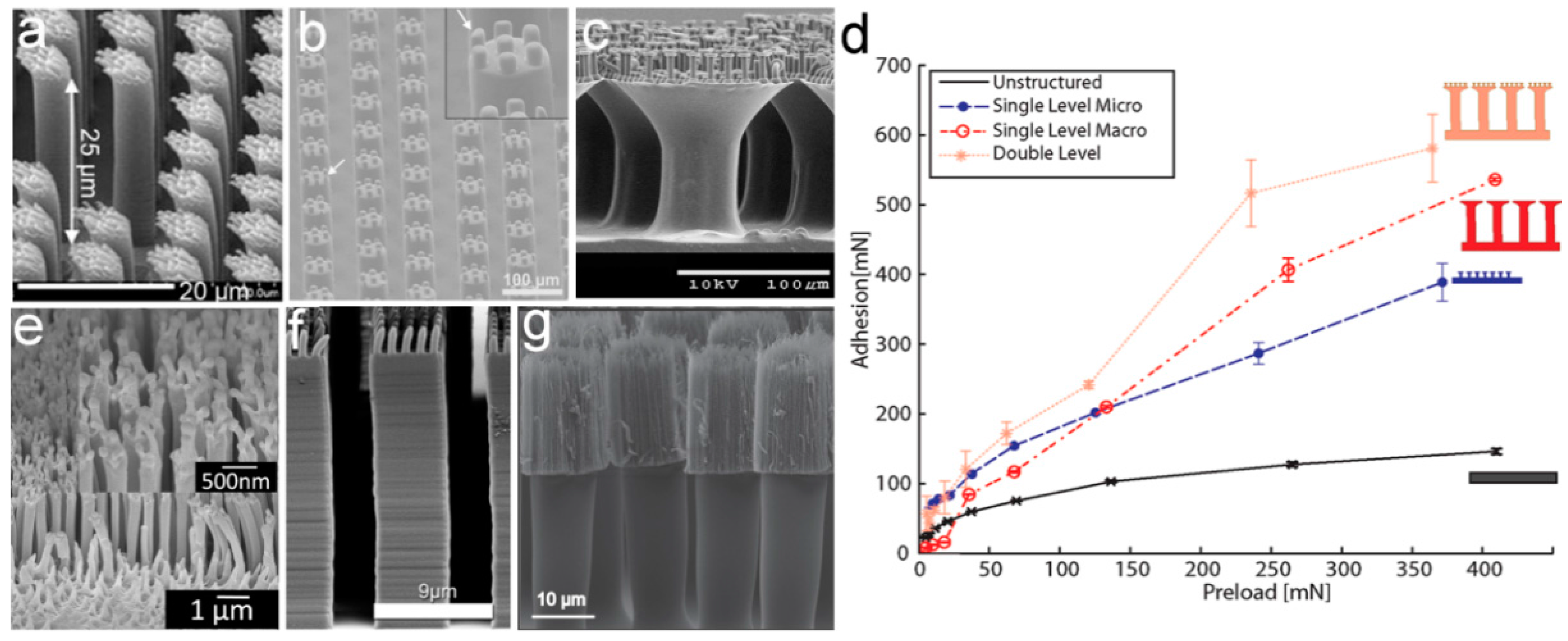 Biomimetics 02 00010 g003