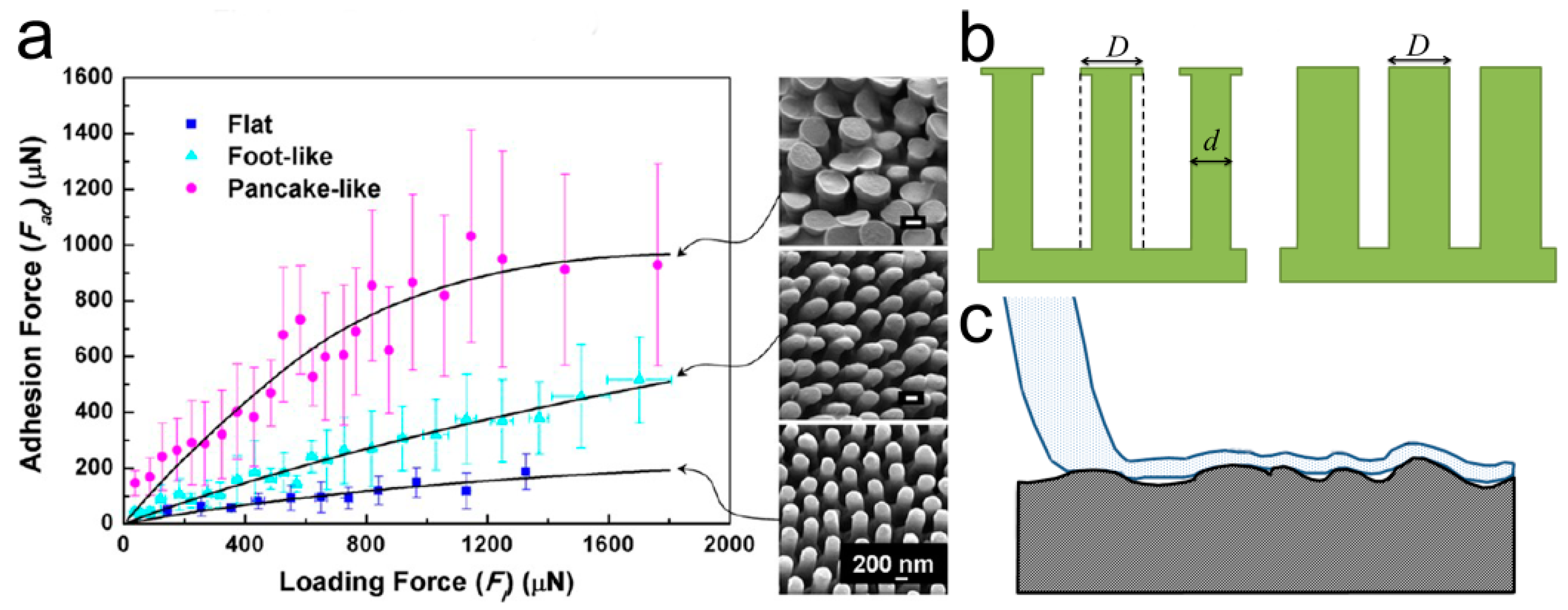 Biomimetics 02 00010 g006