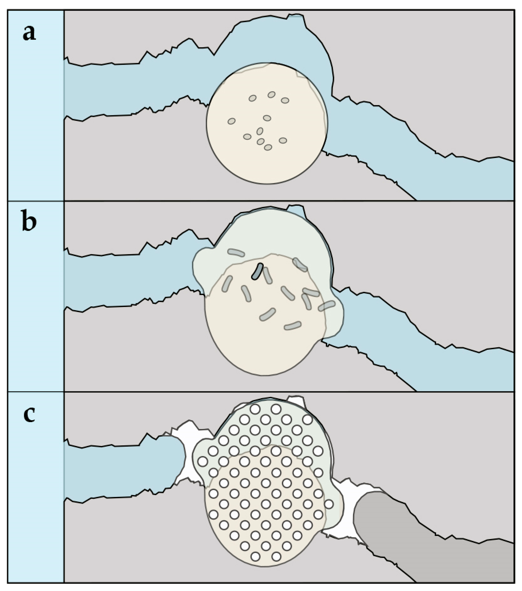 Biomimetics 02 00013 g001