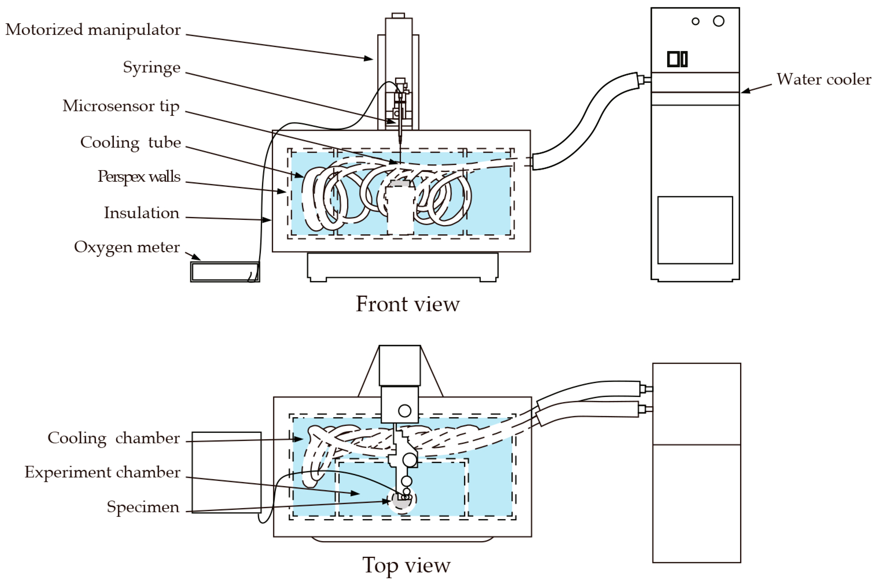 Biomimetics 02 00013 g003