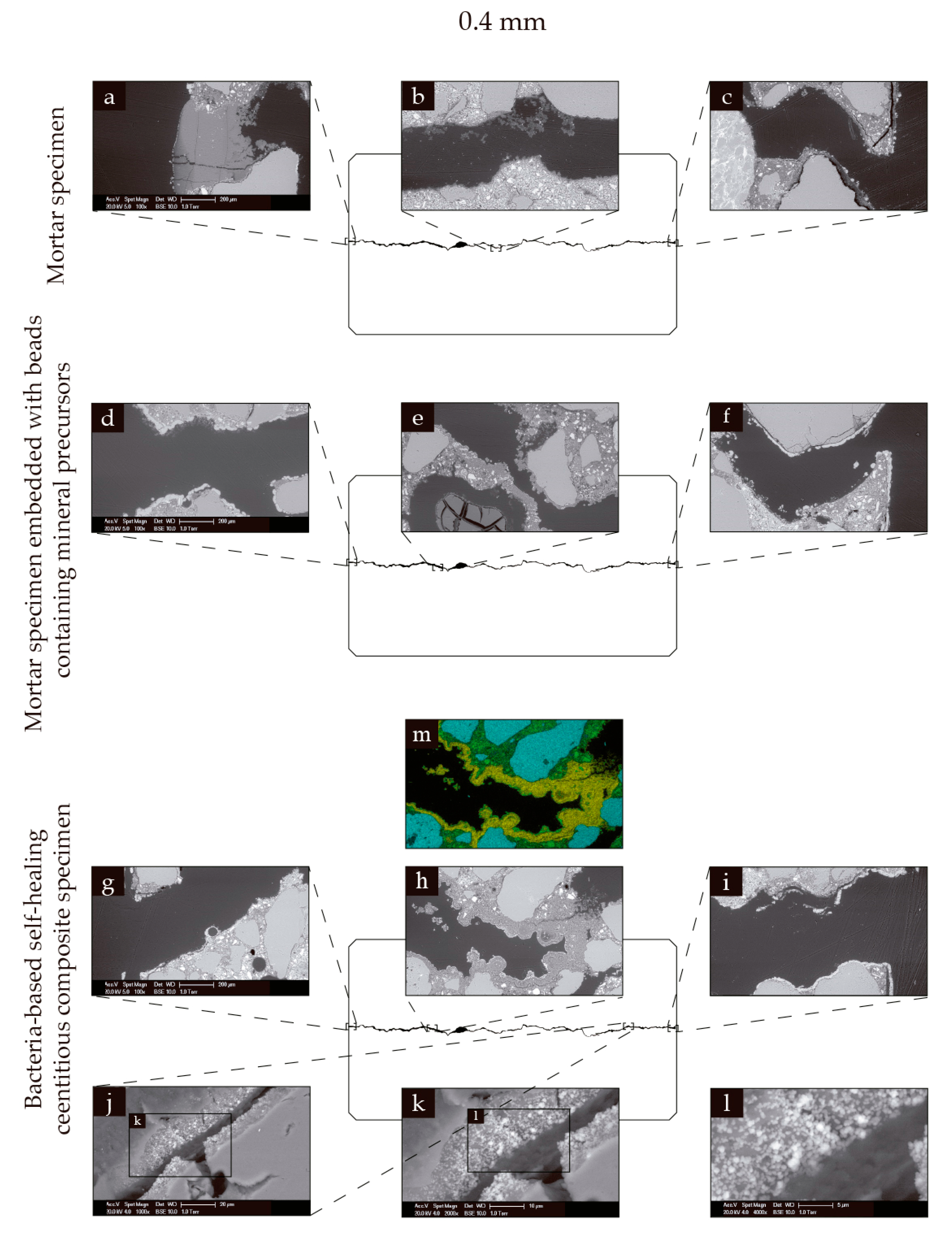 Biomimetics 02 00013 g006