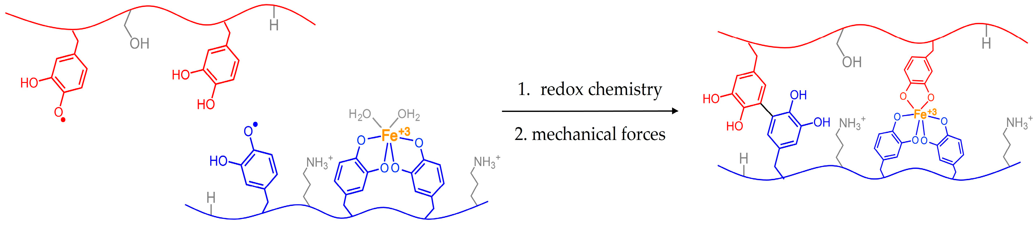 Biomimetics 02 00016 g002