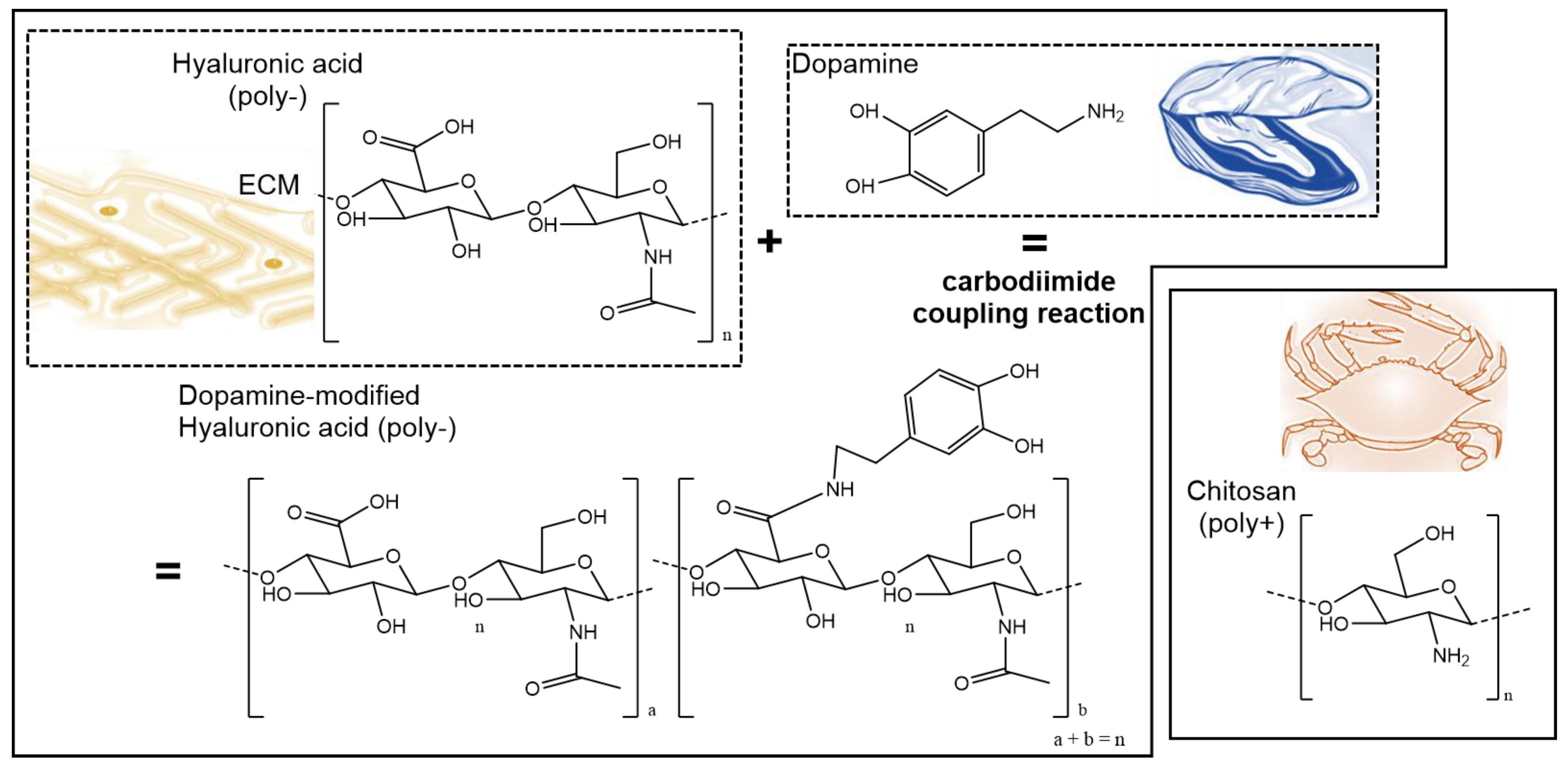 Biomimetics 02 00019 g001
