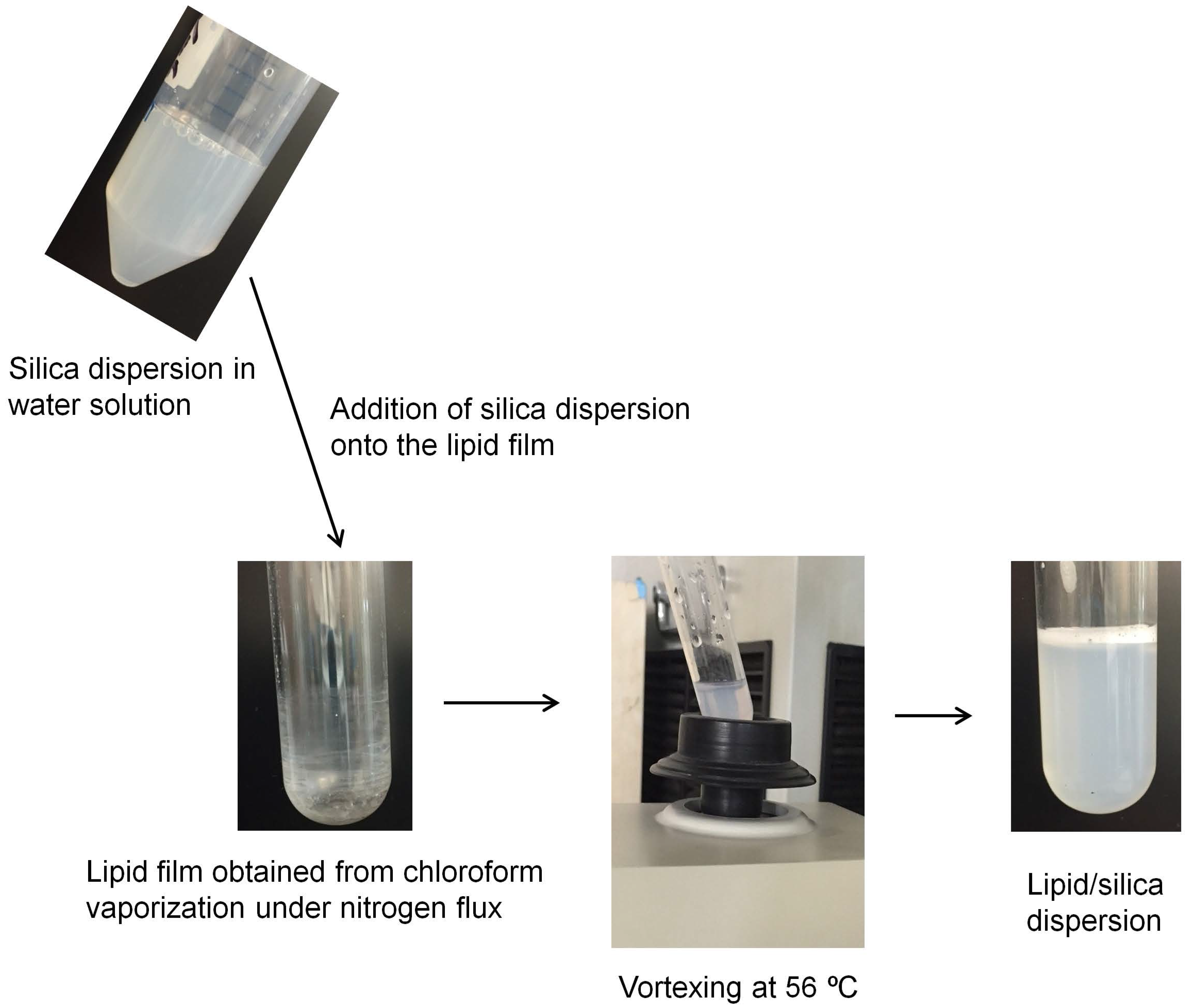 Biomimetics 02 00020 g002