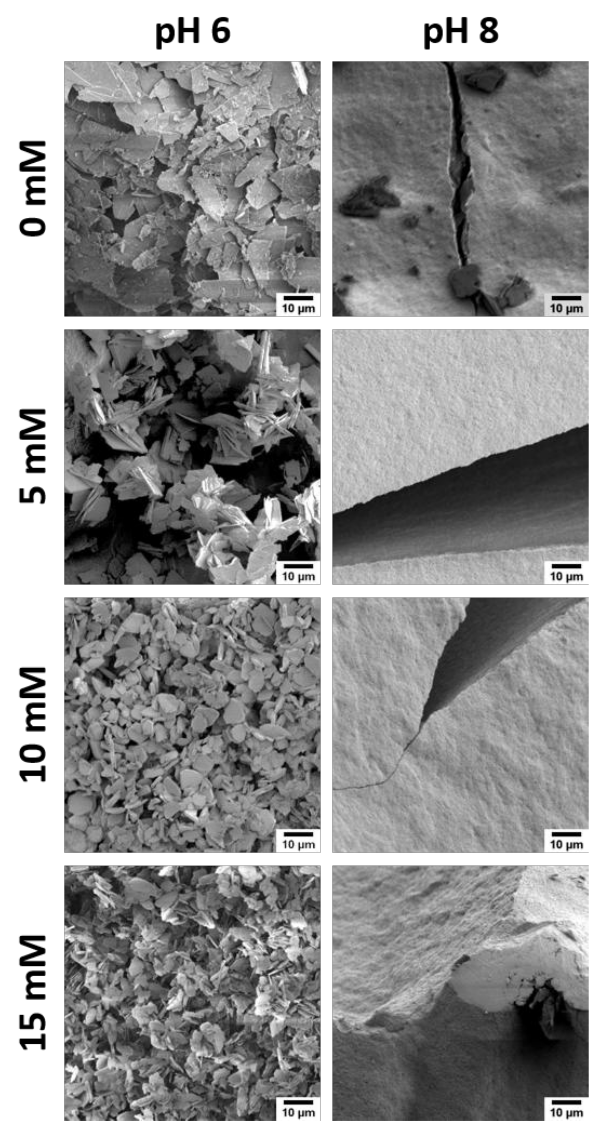 Biomimetics 02 00024 g004