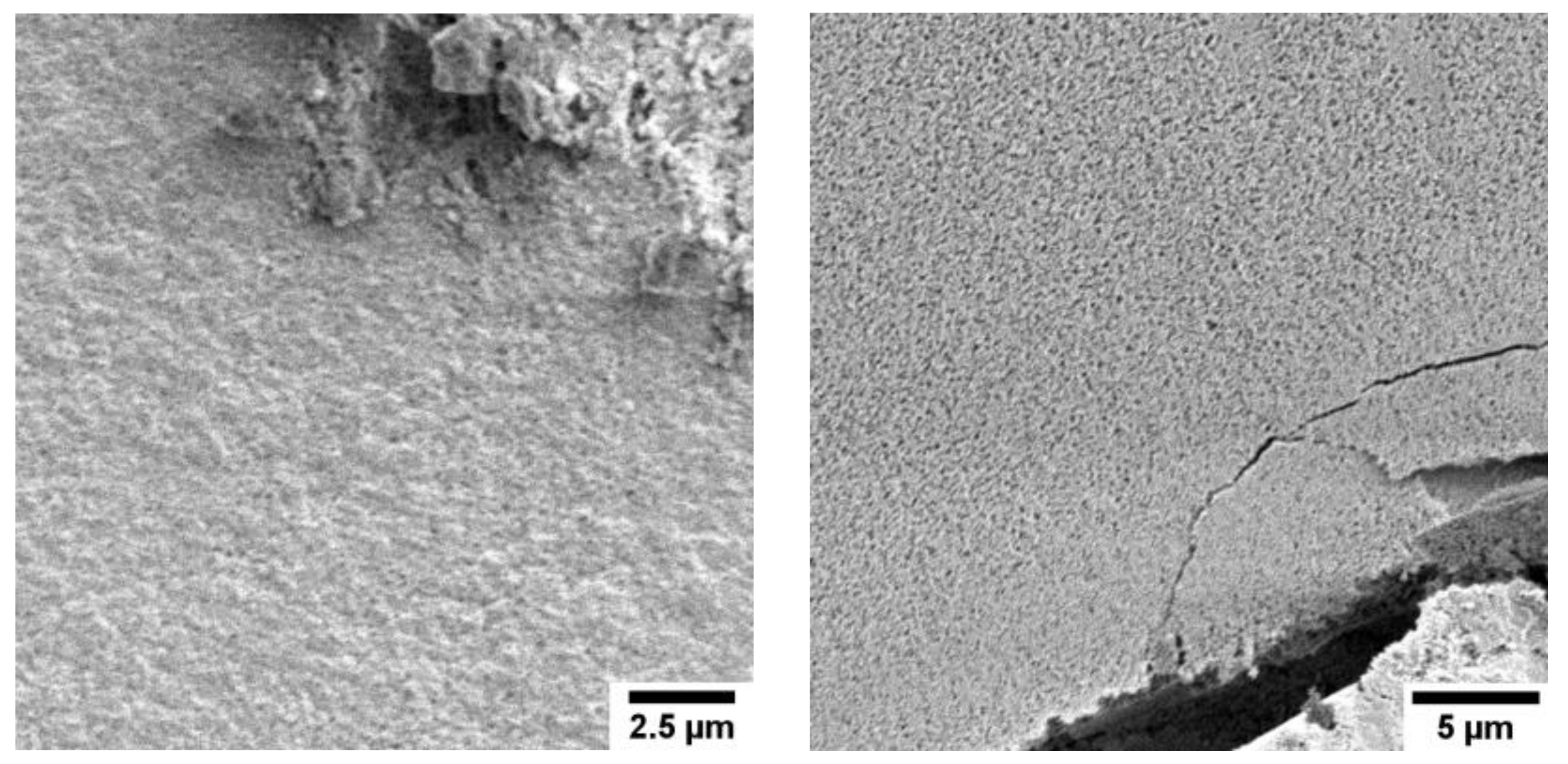 Biomimetics 02 00024 g0a1