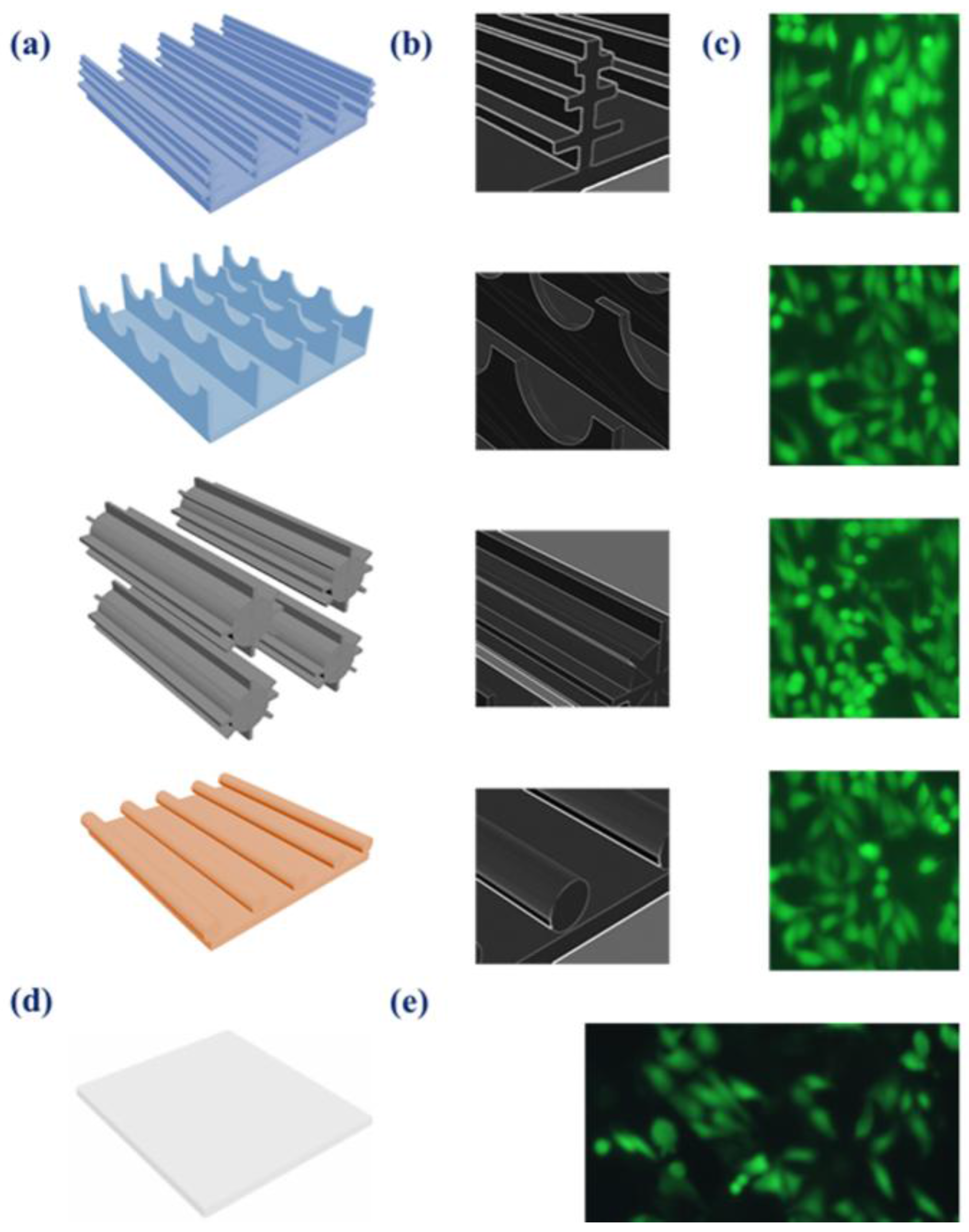 Biomimetics 03 00002 g004